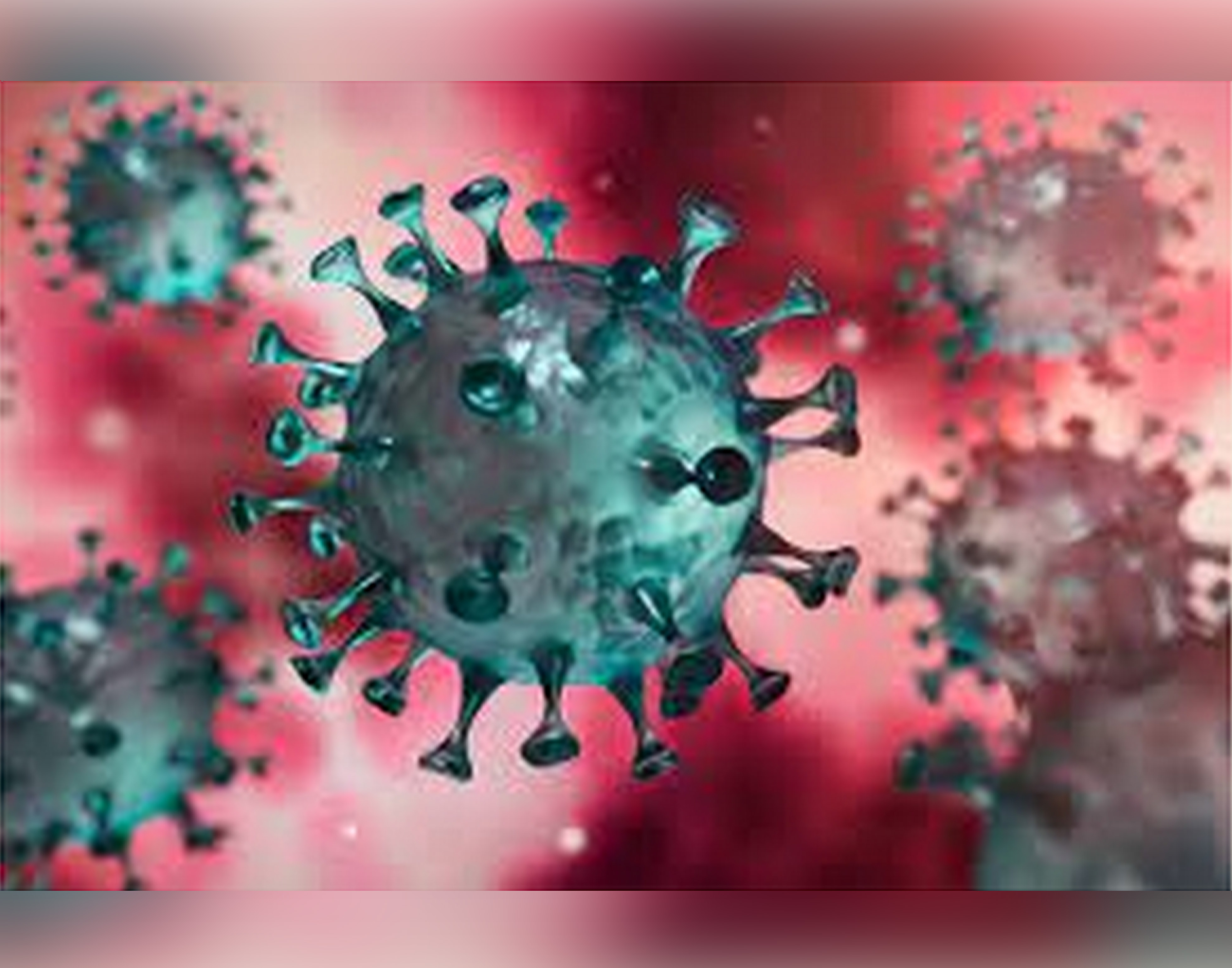Covid-19 : plus de 3000 personnes déjà vaccinées