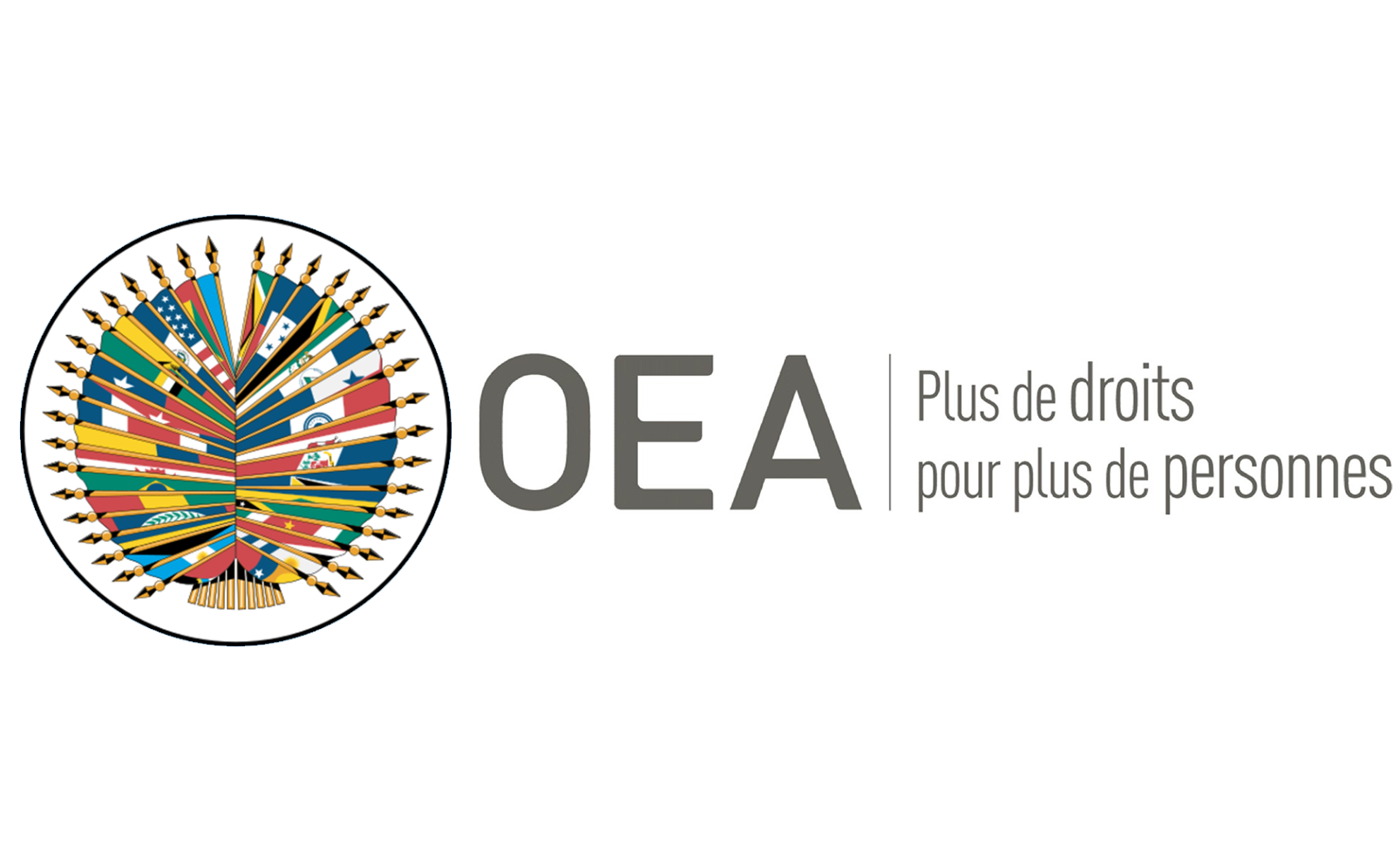 Communiqué du Secrétariat général de l`OEA sur Haïti