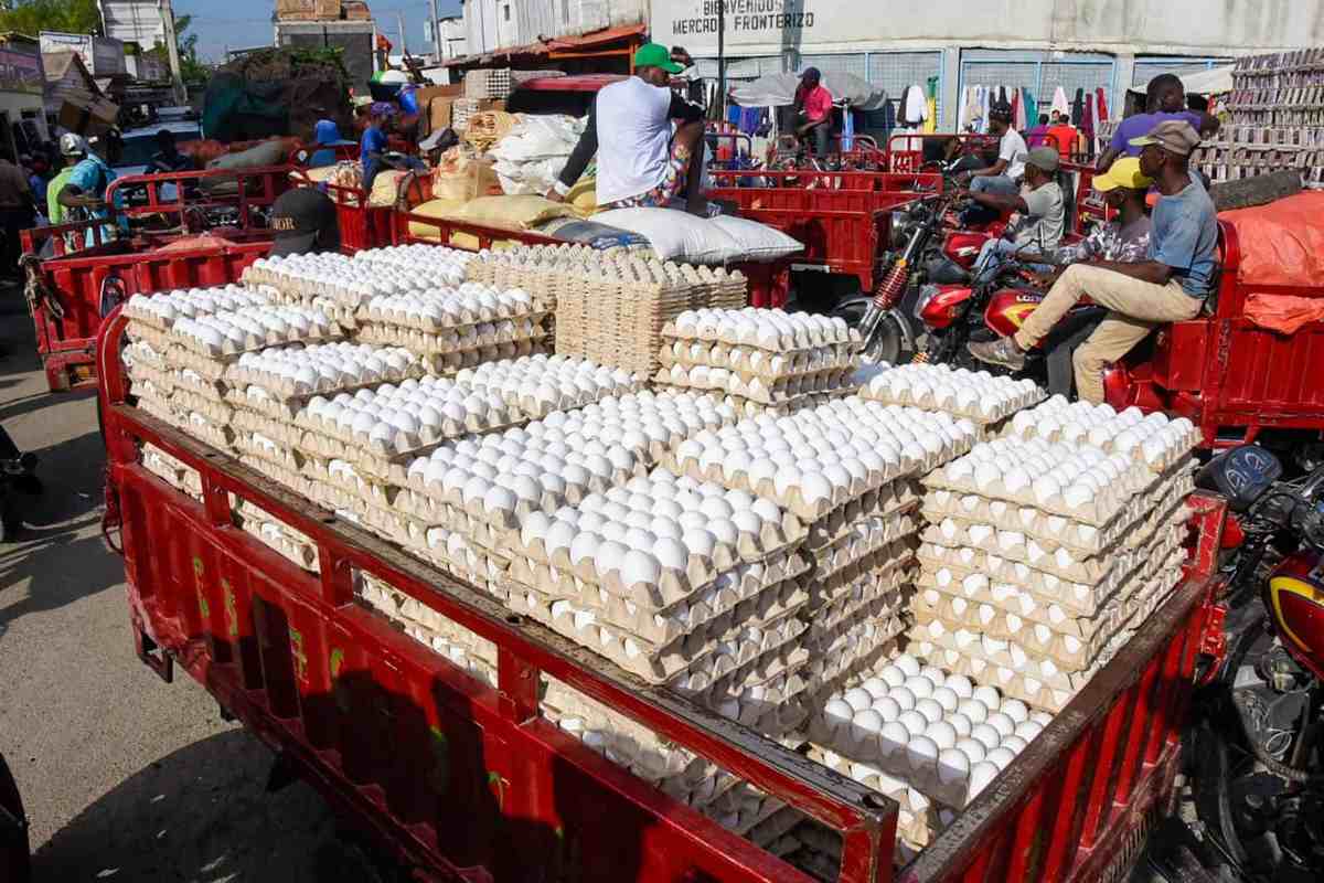 Reprise du commerce d'œufs  entre Haïti et la République dominicaine