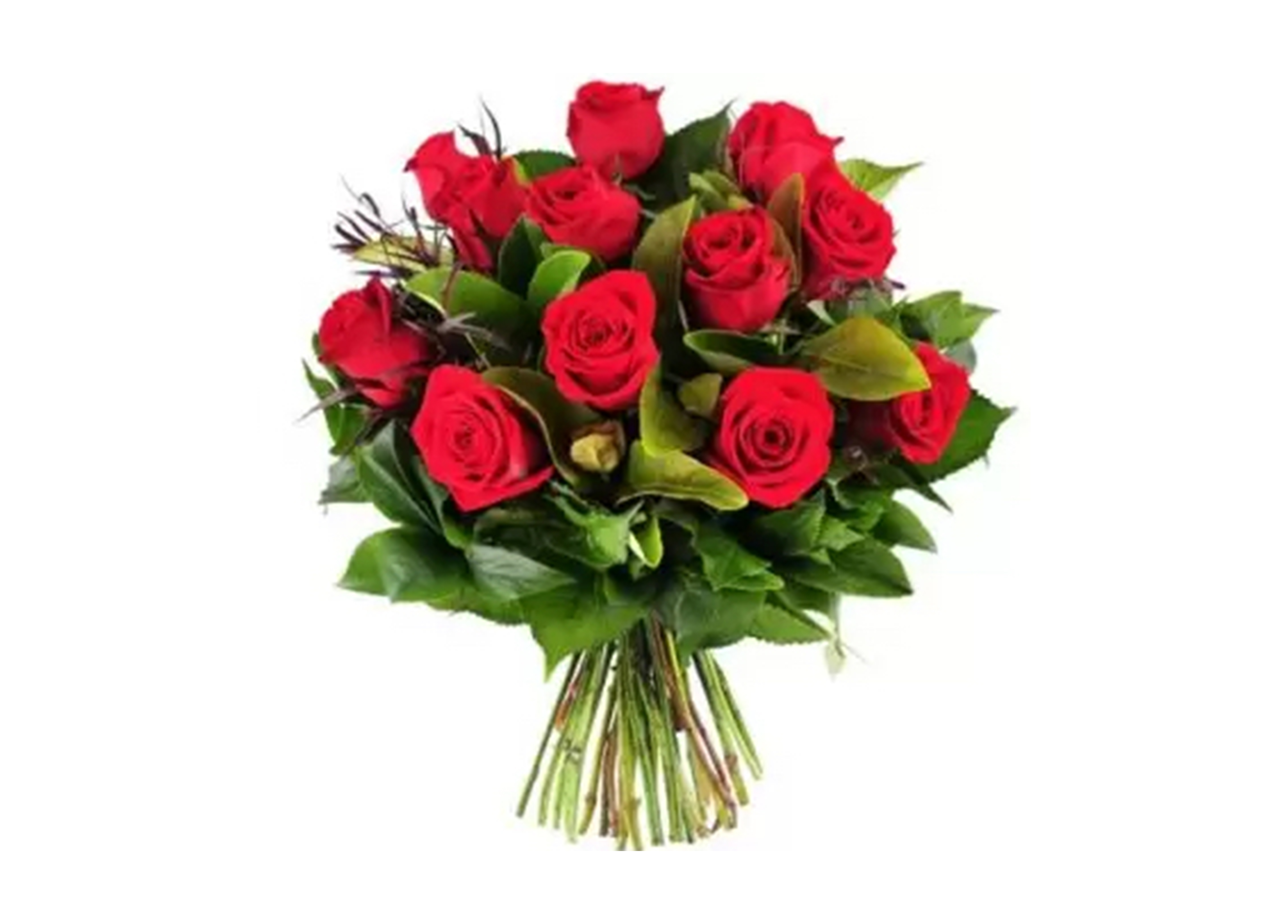 14 février: bonne fête à toi Haïti, ma valentine