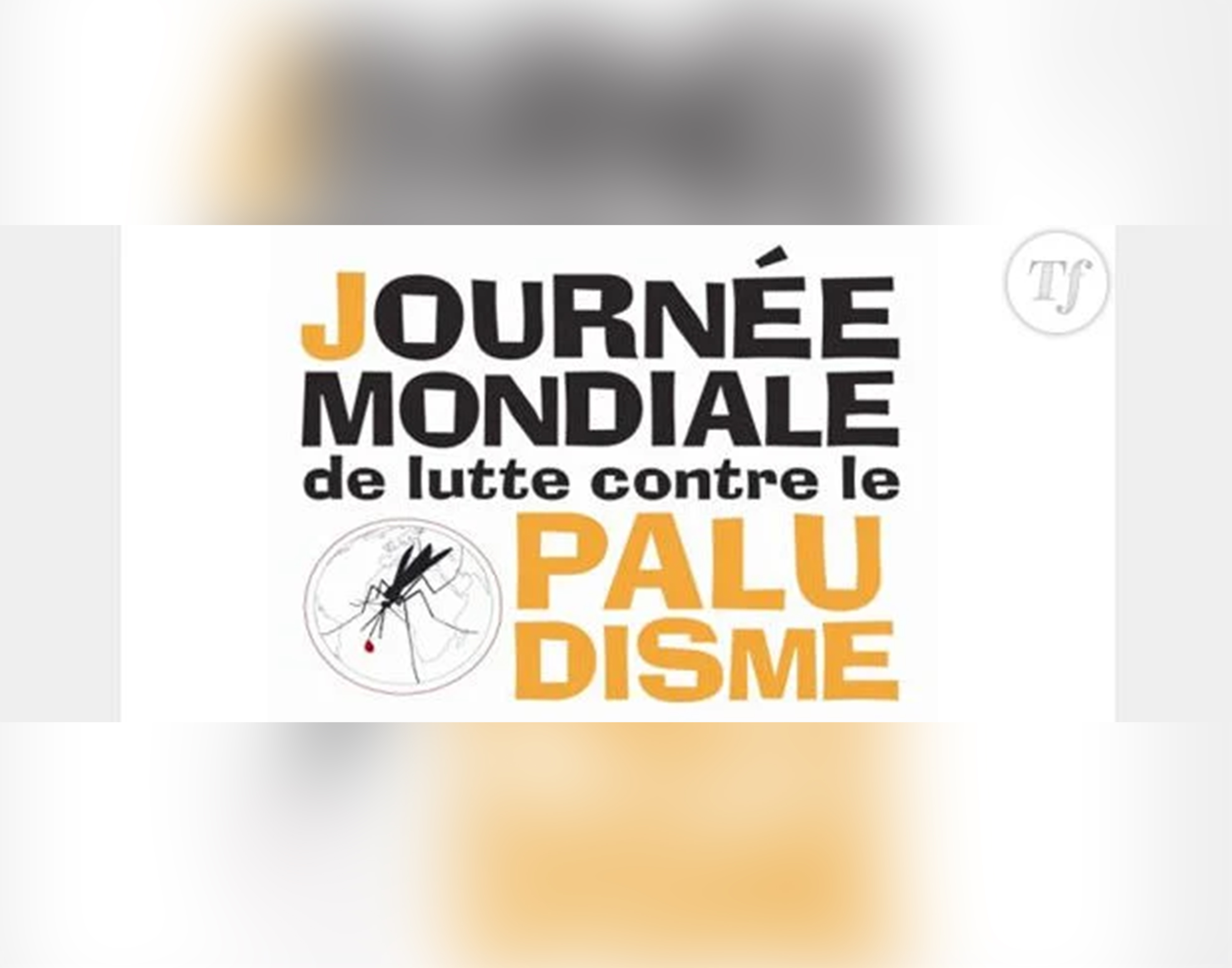 Tout savoir sur le palludisme