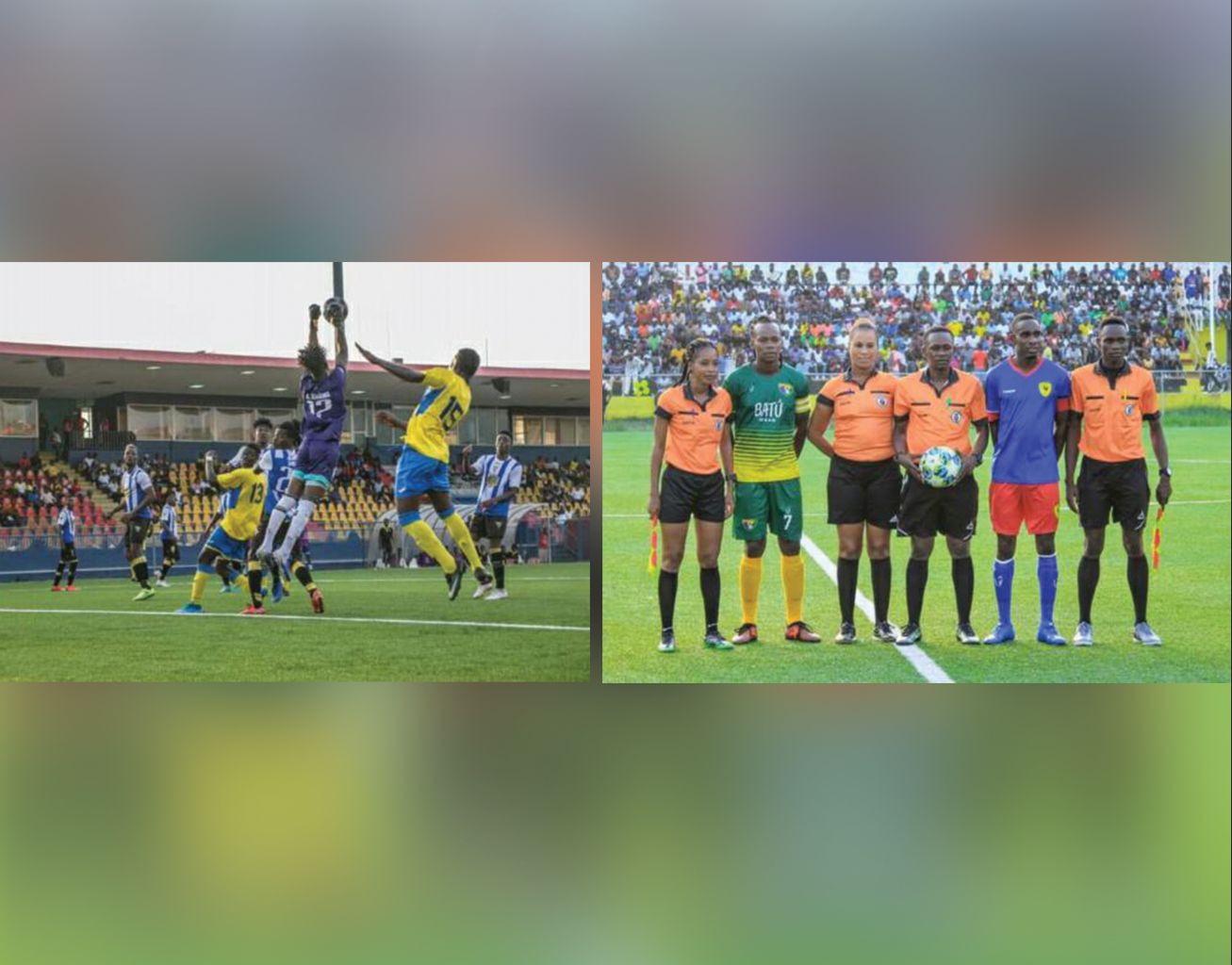 Championnat national spécial: Le SYNAFH réagit