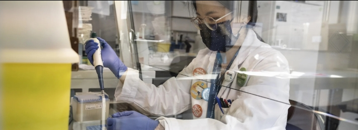 La CEPI et l’OMS appellent les pays à élargir leur stratégie de recherche pour se préparer à la prochaine pandémie
