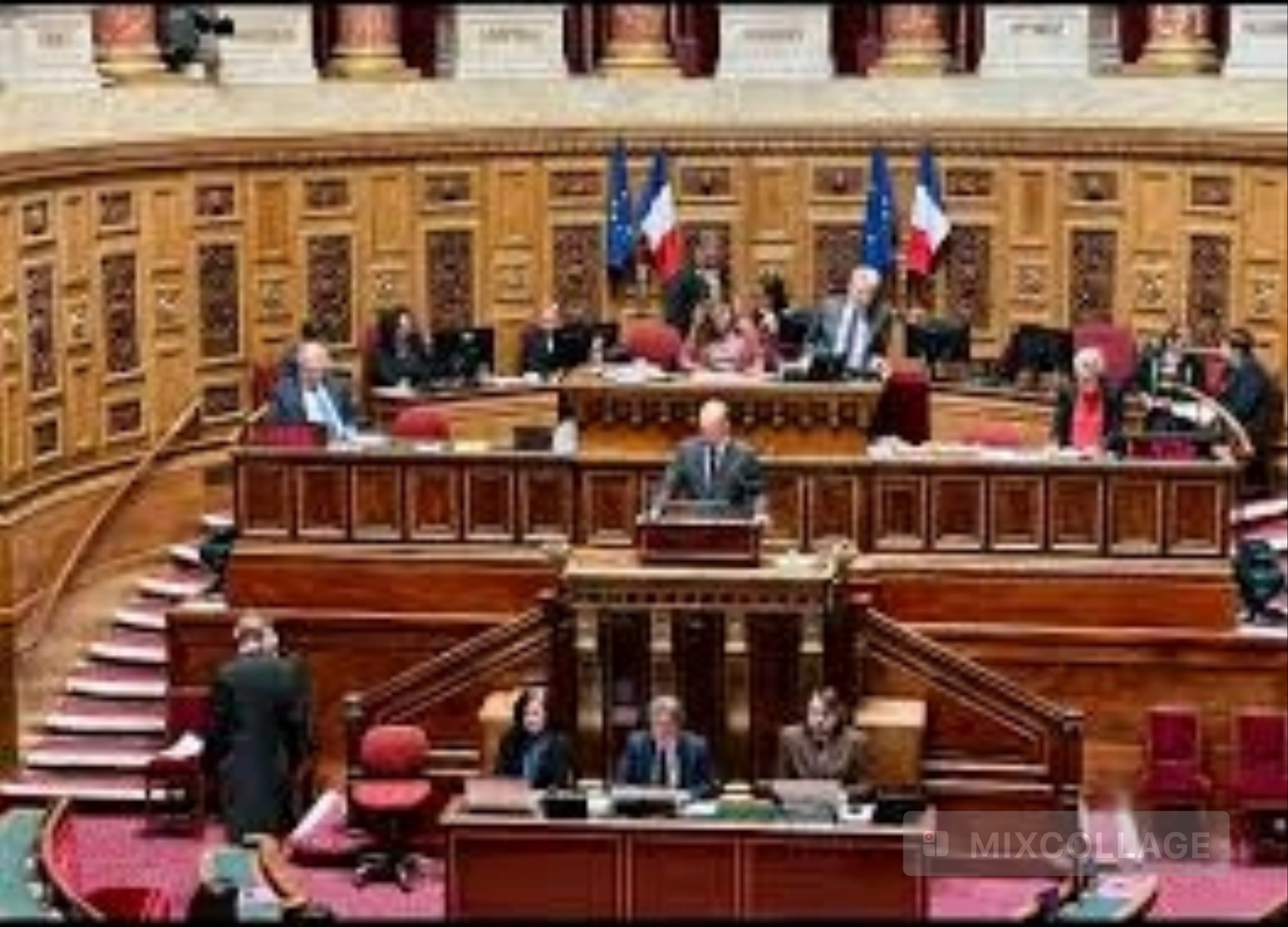 Le Sénat français adopte une résolution en faveur du rétablissement de la sécurité en Haïti