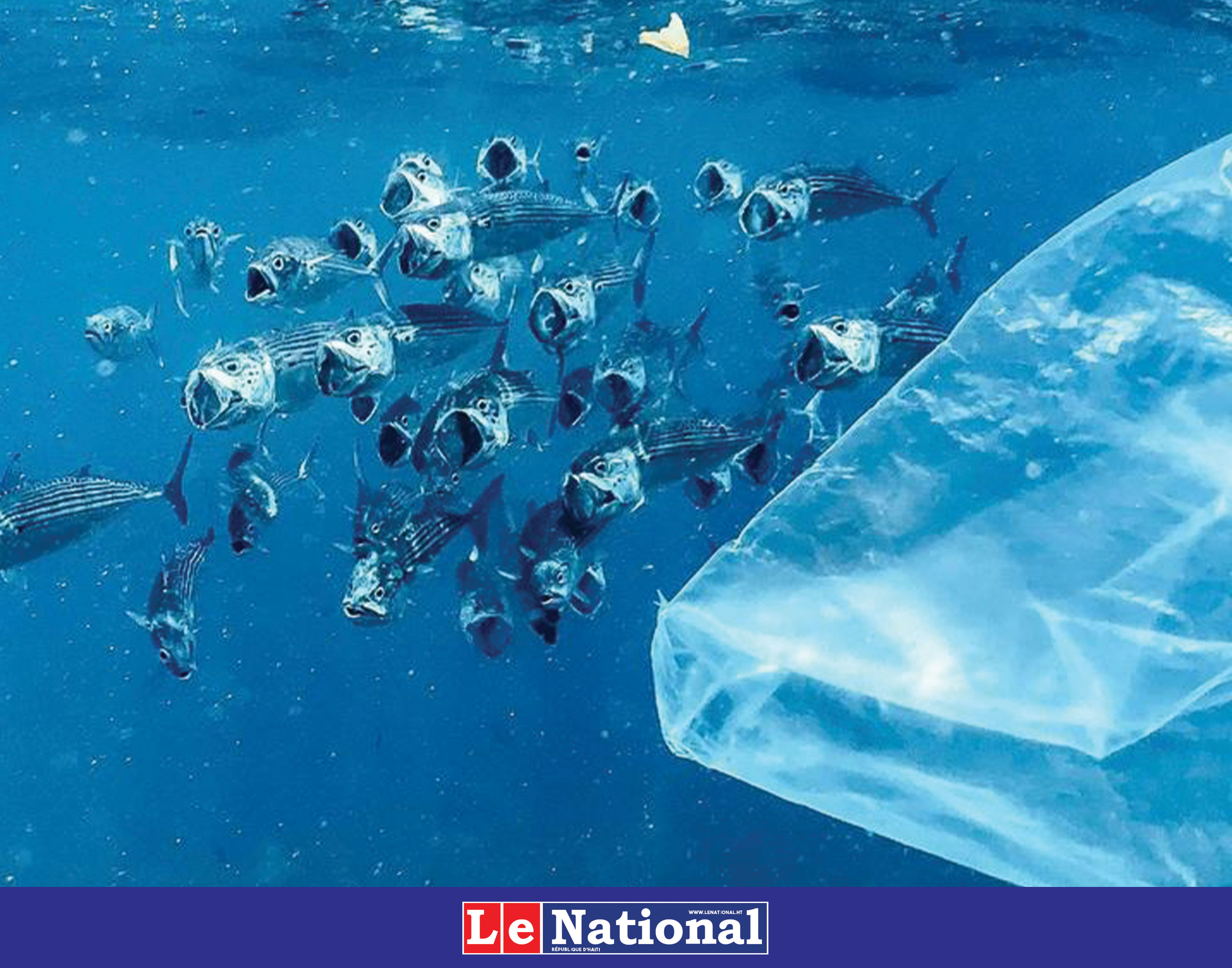 À Nice, un pas décisif vers un traité mondial contre la pollution plastique