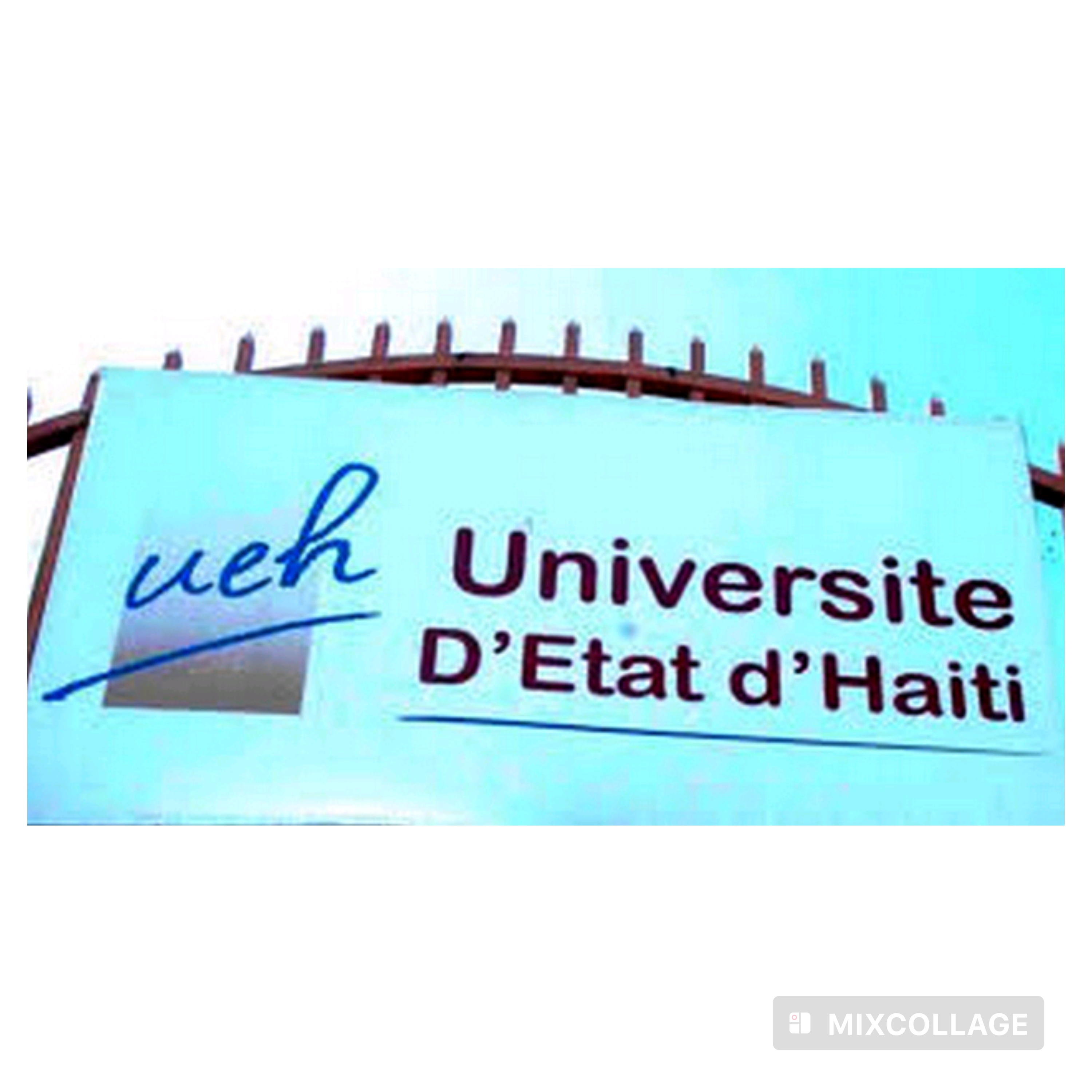 UEH s’interroge sur la légitimité de l’avant-projet de Constitution