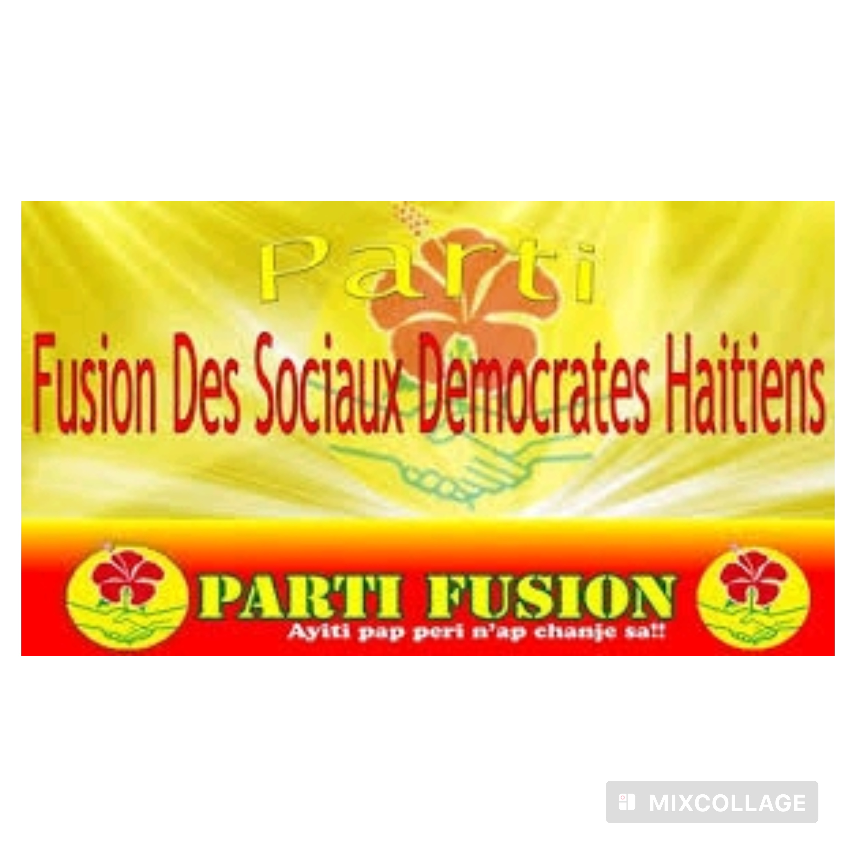 Référendum constitutionnel : La Fusion des Sociaux-Démocrates dit non à une démarche précipitée