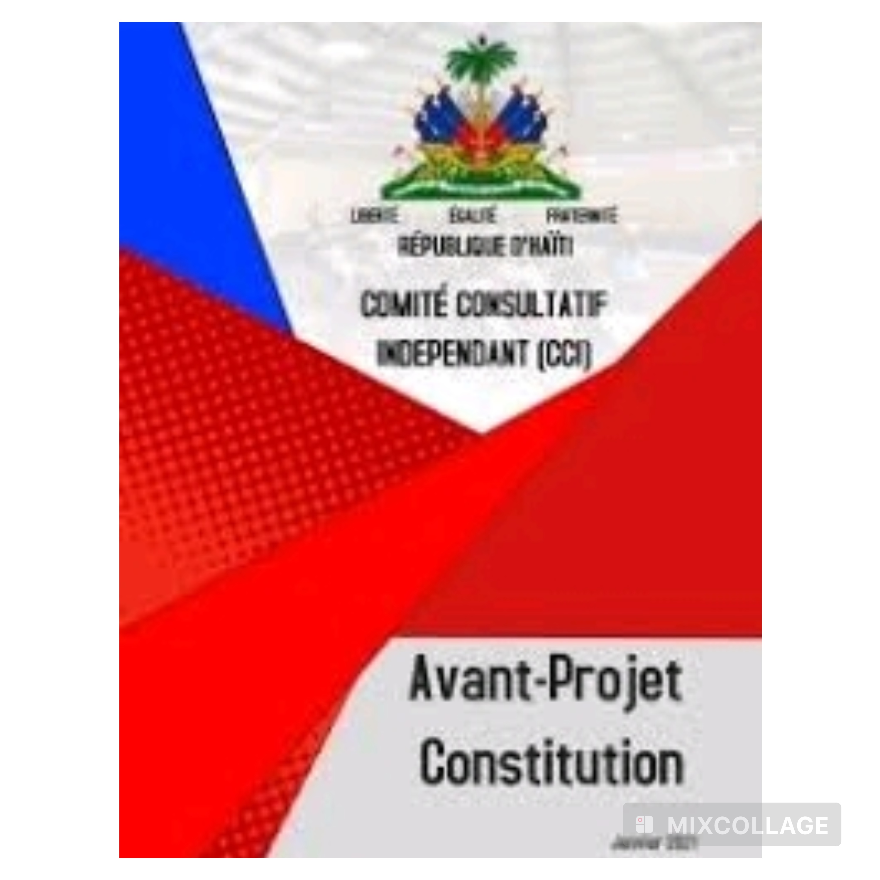 Avant-Projet de constitution : le comité de pilotage a déjà pris en compte plus d’une centaine de recommandations