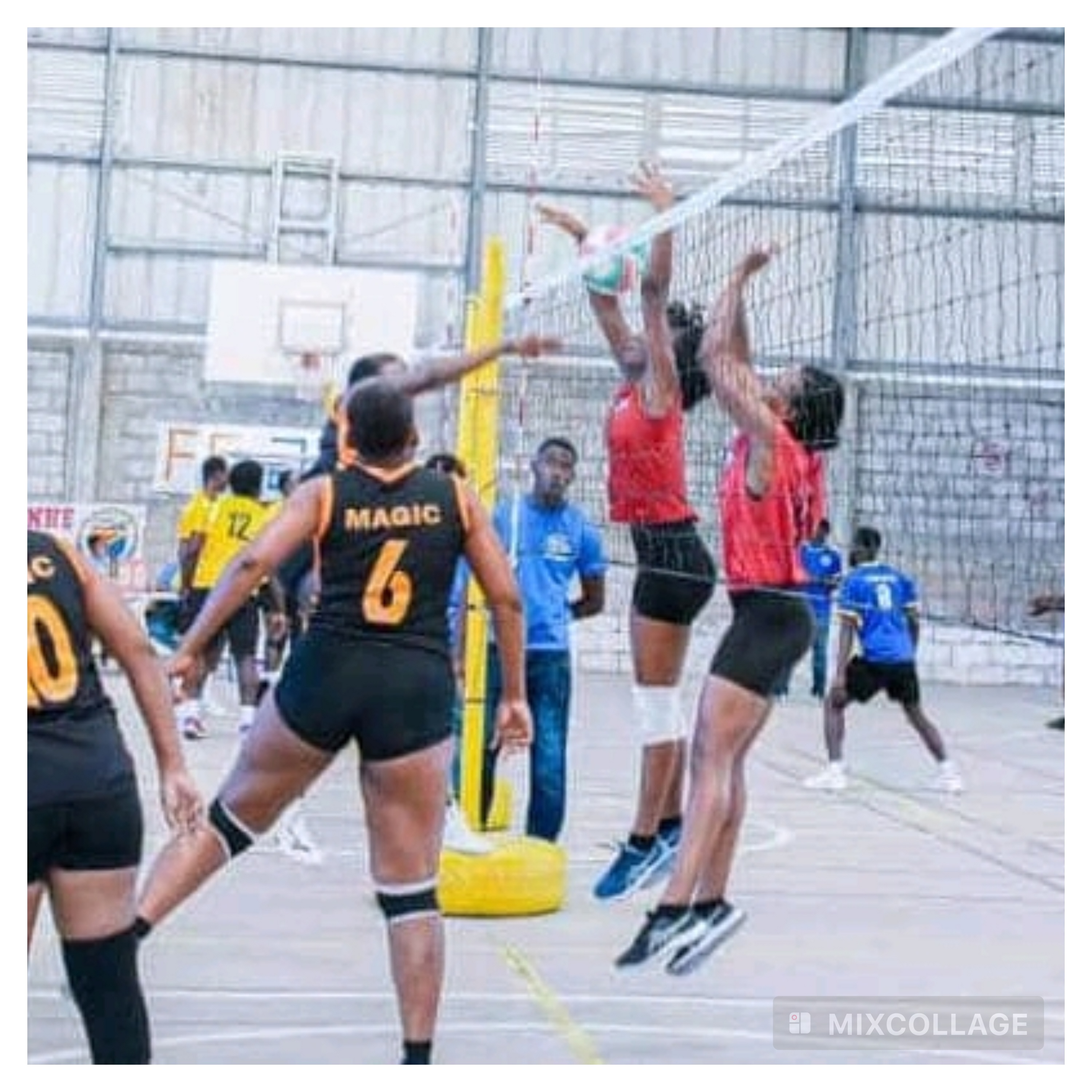Le volleyball reprend ses droits dans la région métropolitaine !