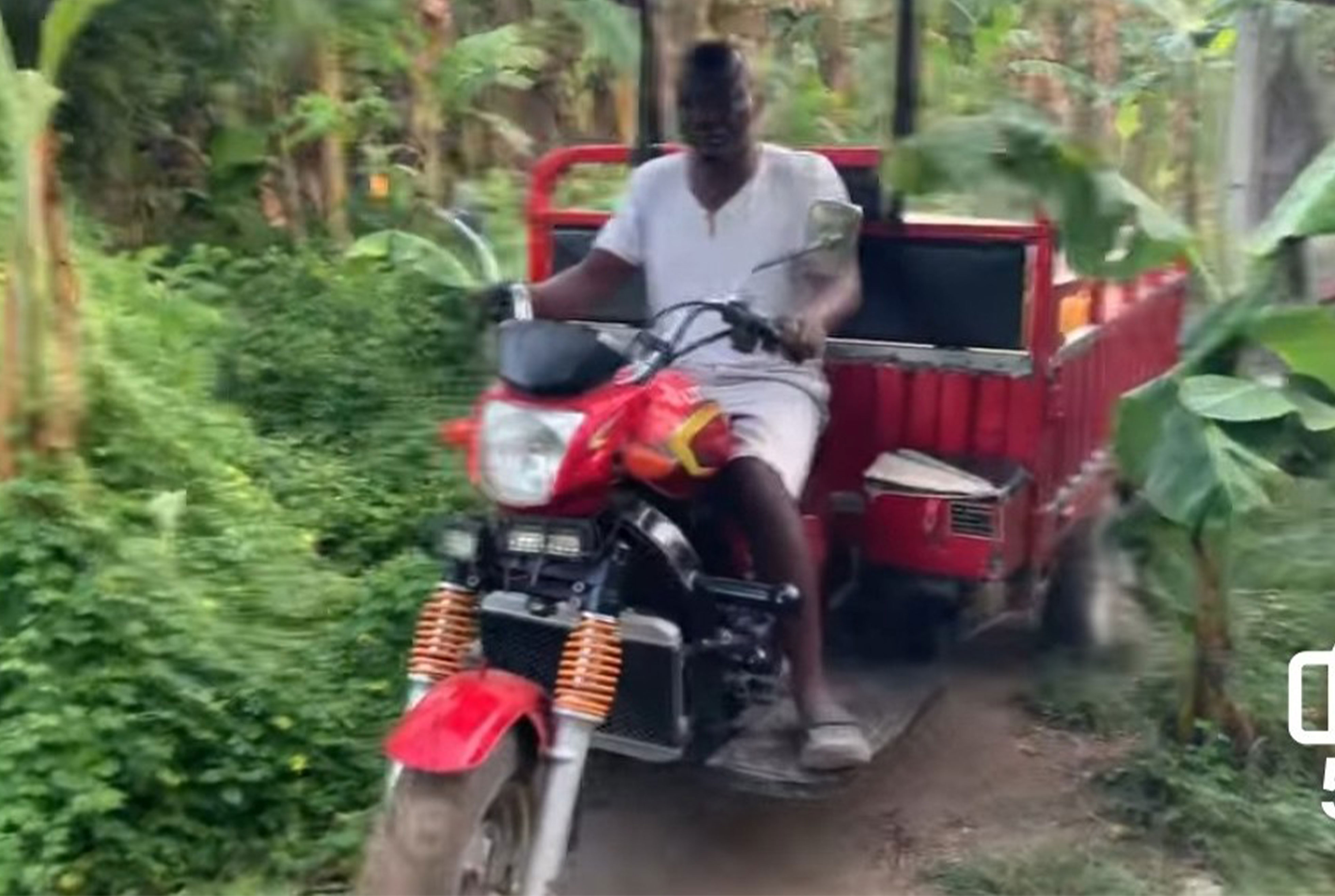 Jeunesse et élevage en Haïti : entre espoir, résilience et insécurité