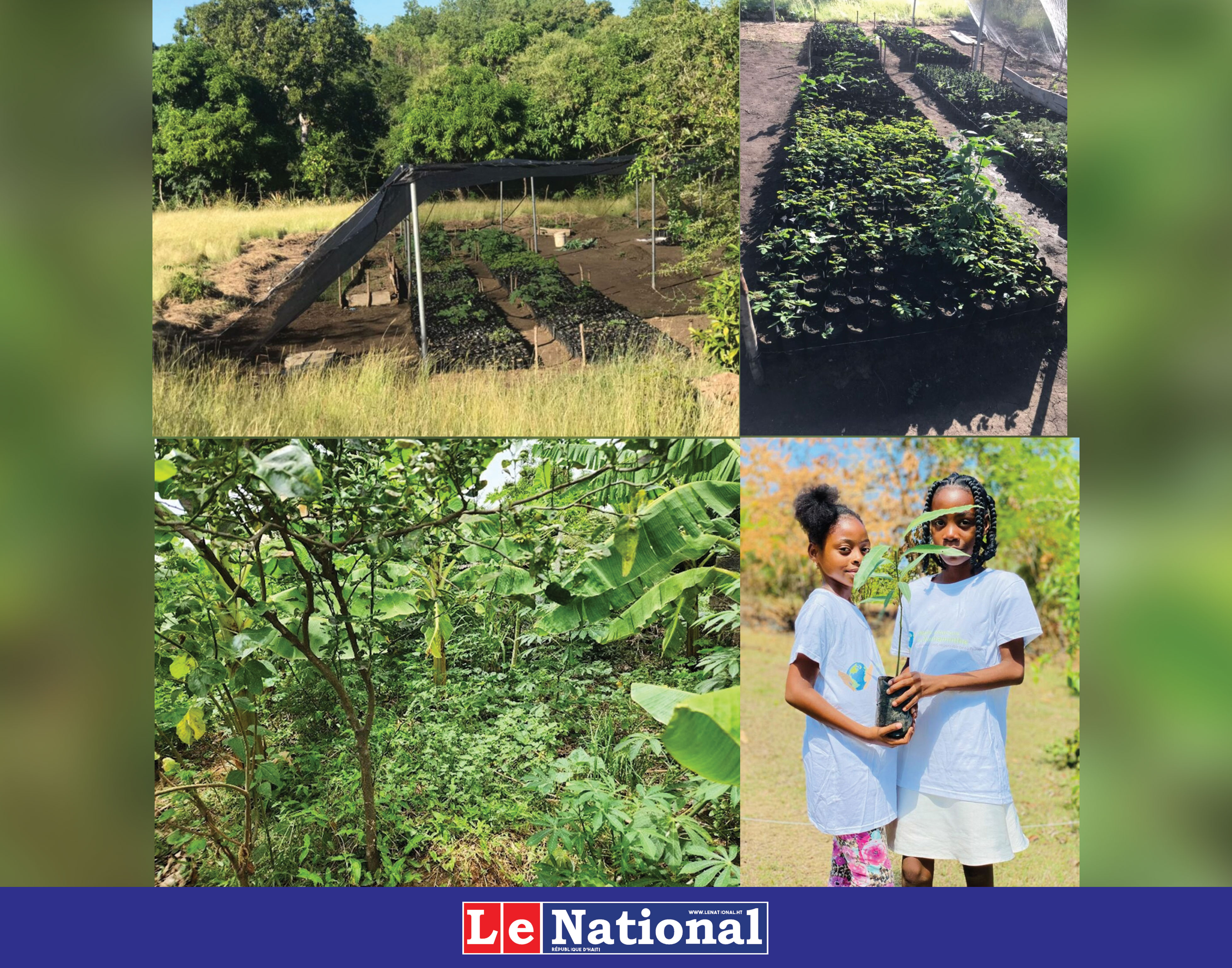 Haïti: le Jardin botanique de Ouanaminthe lance son Plan Climat
