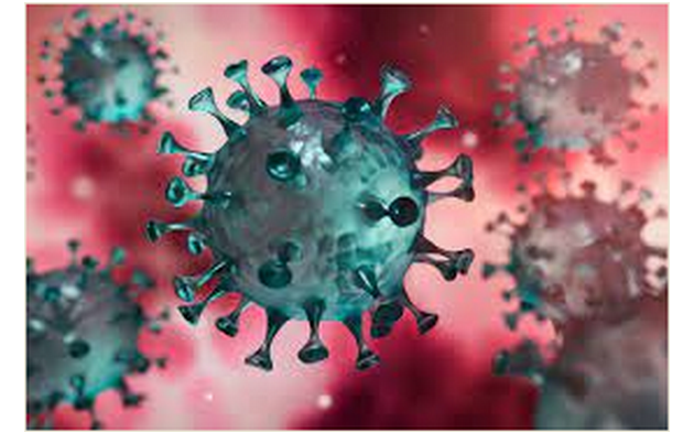 Virus volage