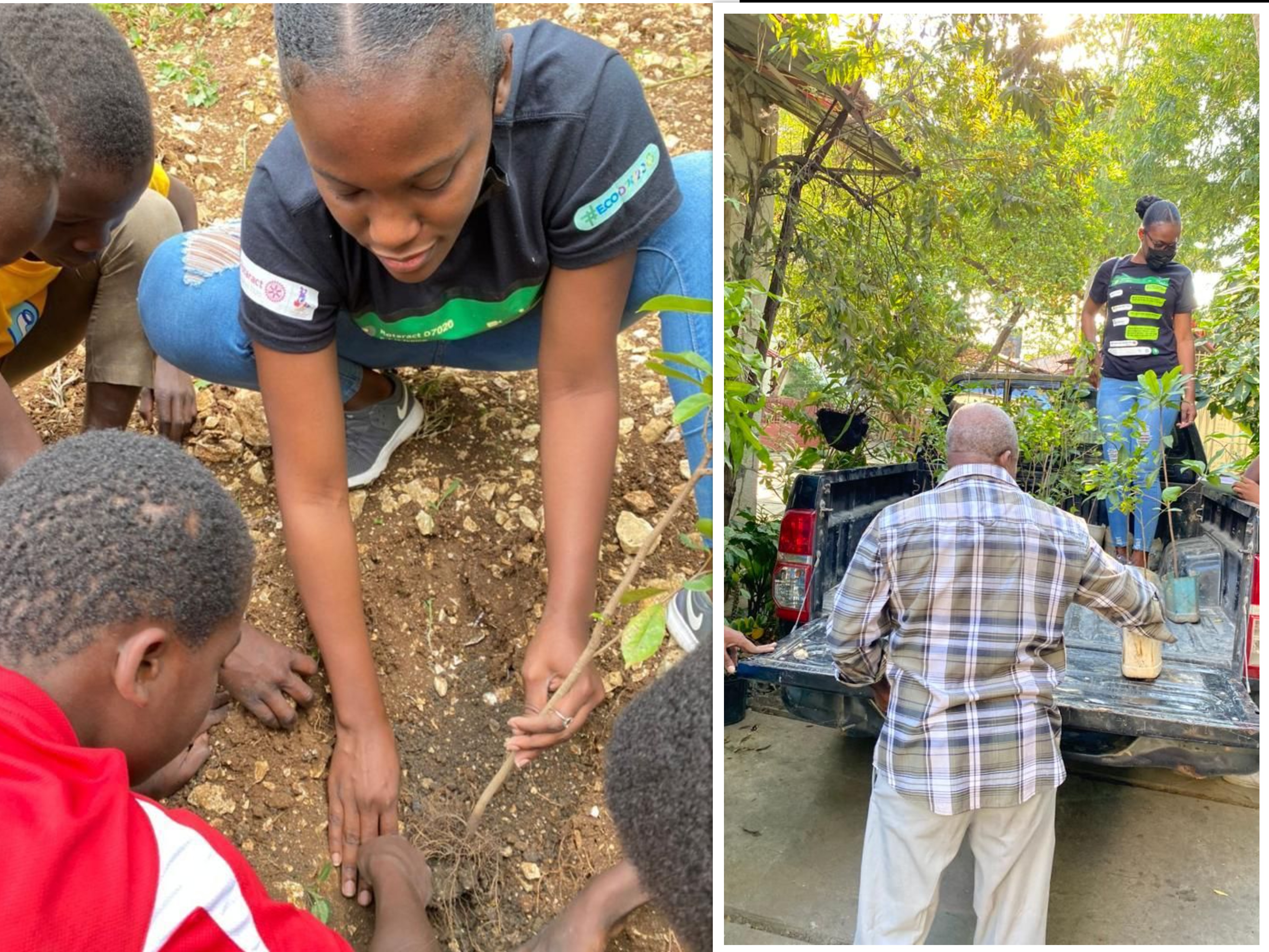 Le Rotaract Club de Pétion-ville au chevet de l’environnement