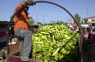 L’insécurité limite sévèrement le transport des denrées agricoles vers la capitale