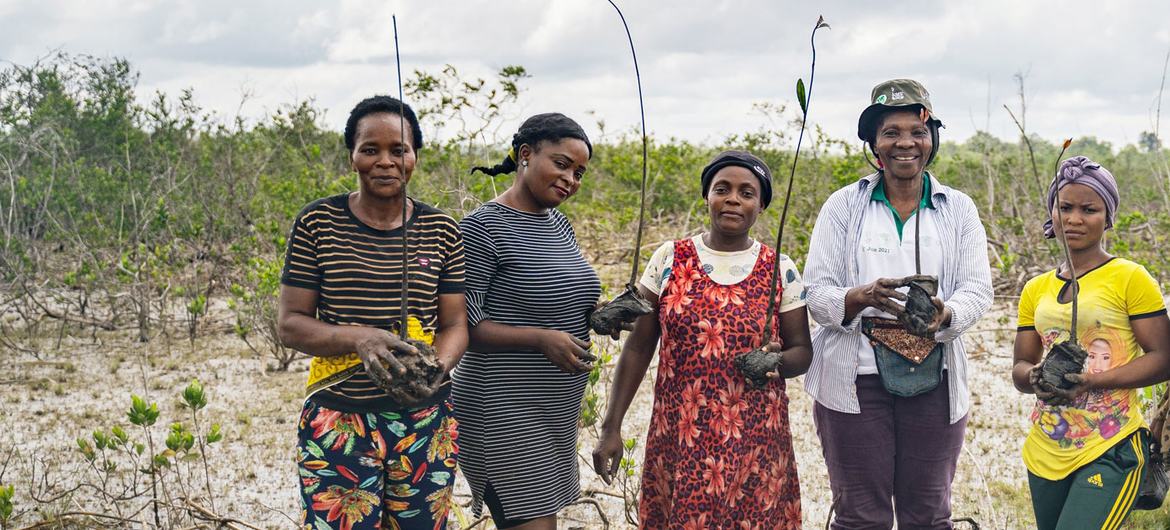 Le PNUE récompense ses Champions de la Terre 2022 pour leur action en faveur des écosystèmes
