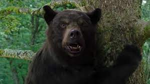 « Cocaïne Bear » est un film inspiré d’une histoire vraie