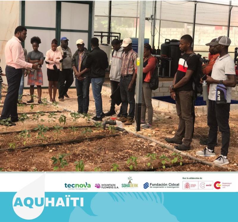 L'initiative AQUHAÏTI développe un système aquaponique innovant dans la commune de Kenskoff et forme plus de 100 agriculteurs à sa gestion