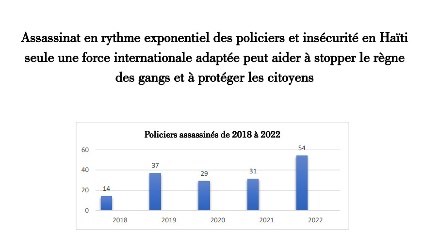 « Seule une force internationale adaptée peut aider à asphyxier l’hégémonie des gangs armés dans le pays », suivant le CARDH