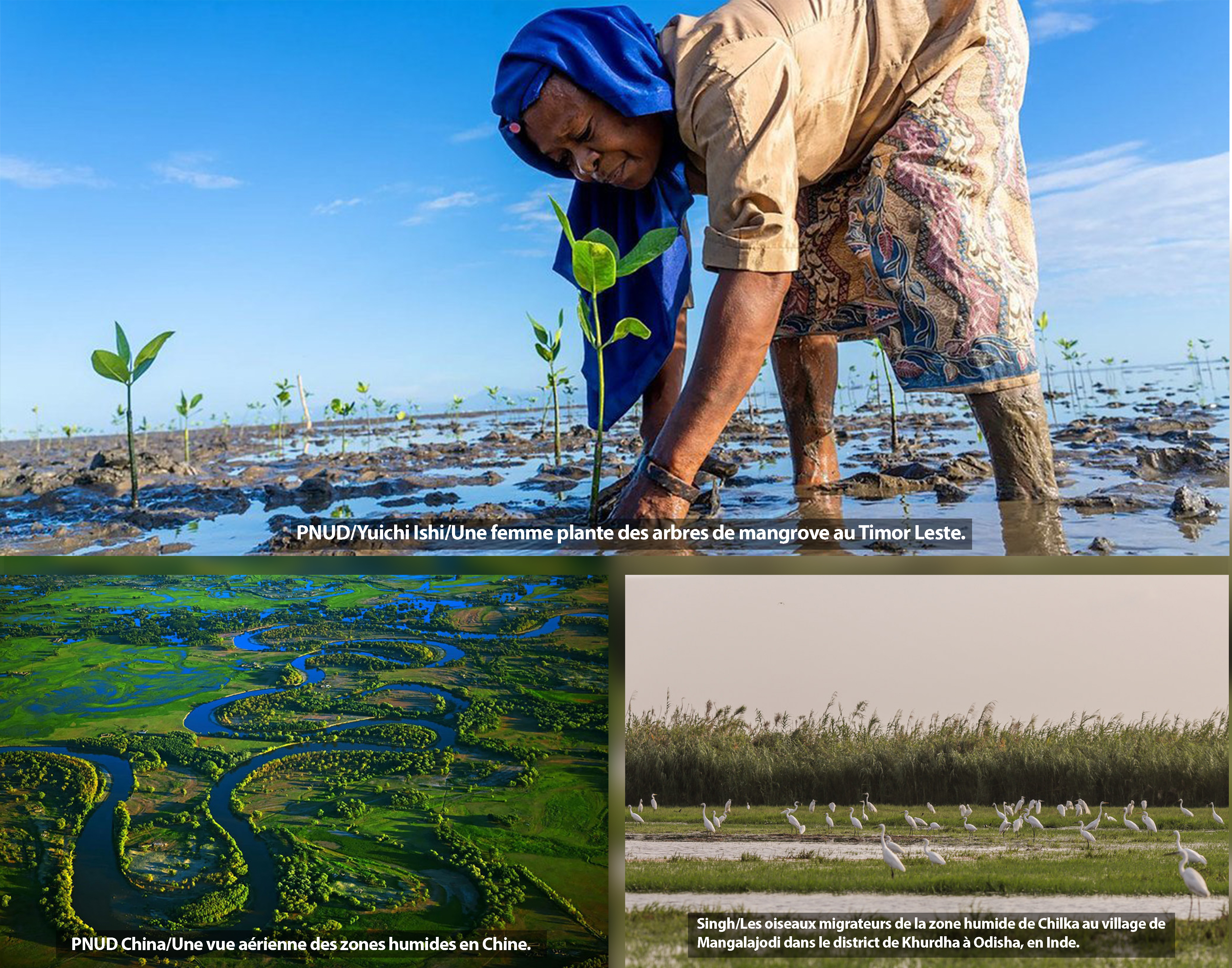 Protéger les zones humides, c’est protéger la biodiversité