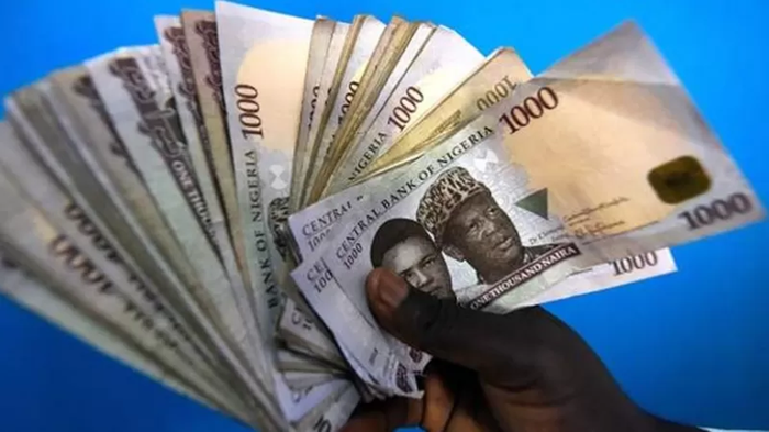 Nigeria : la valeur du naira divisée par 700 depuis sa création, en 1973