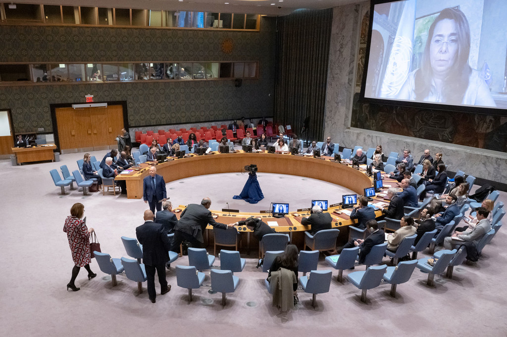 ONU: le Conseil de sécurité exprime sa solidarité avec le peuple haïtien