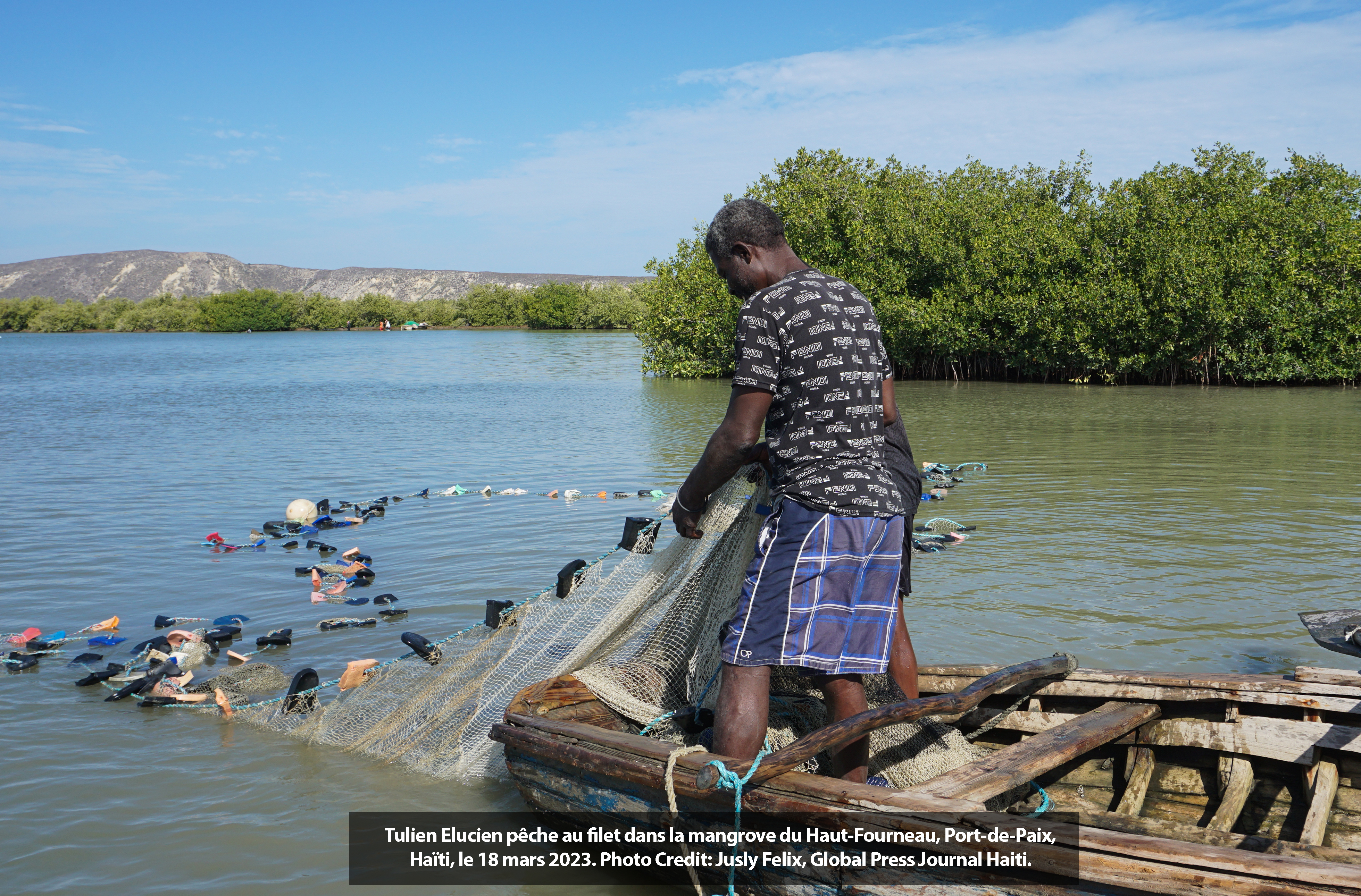 Les mangroves peuvent protéger Haïti du chaos climatique. Elles sont en voie de disparitions