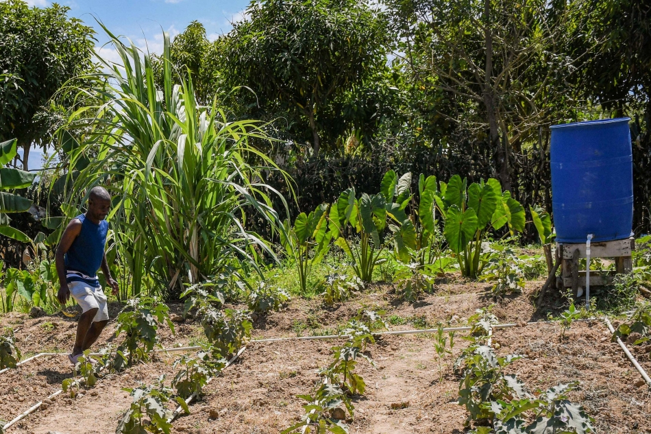 La résilience par l’innovation en Haïti