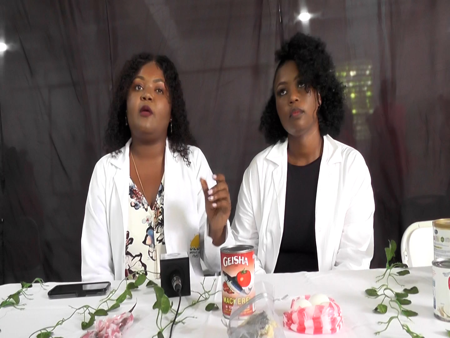 Université Lumière:  deux journées scientifiques  autour de l'accès aux soins et aux services de santé en Haïti