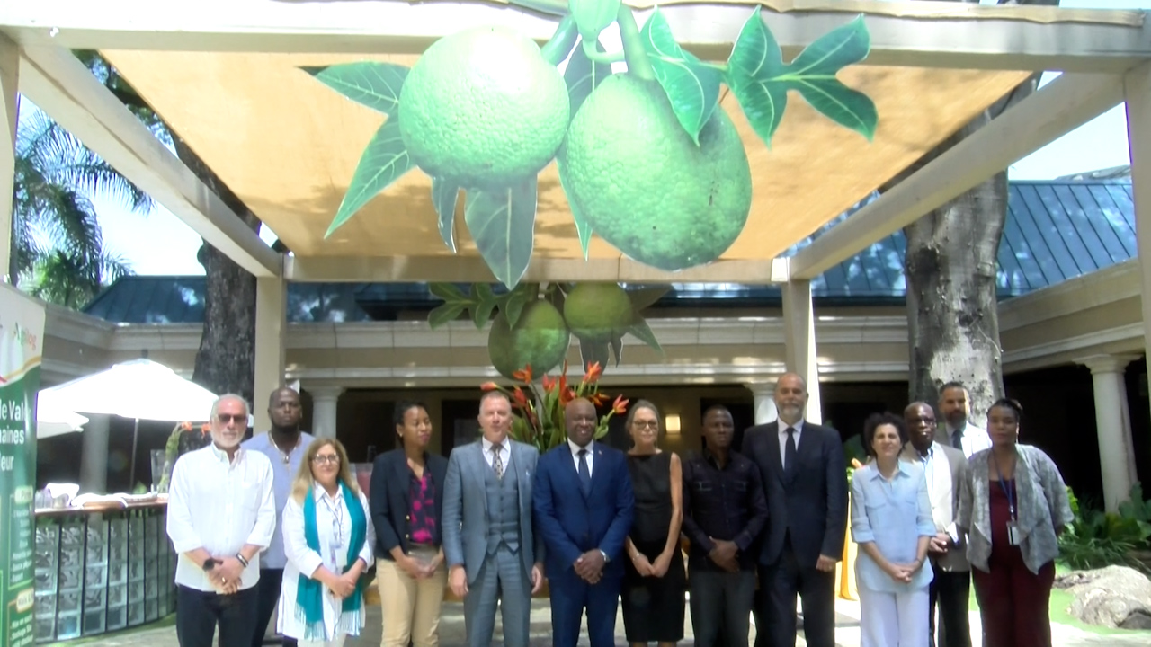 Pour la promotion et la transformation de fruit à pain en Haïti