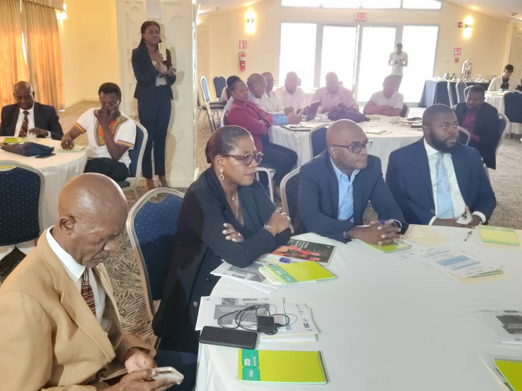 Haïti et UNESCO: un nouveau dialogue pour la culture autour de la Convention de 2005 !