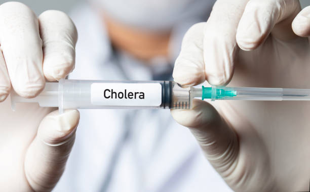 Flambée de choléra dans le Sud-Est