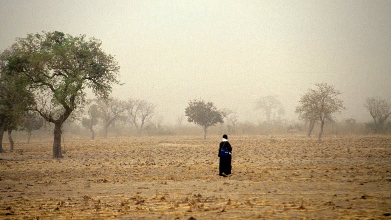 Une sécheresse extrême réduit la croissance d'un pays de 0,85 point de pourcentage