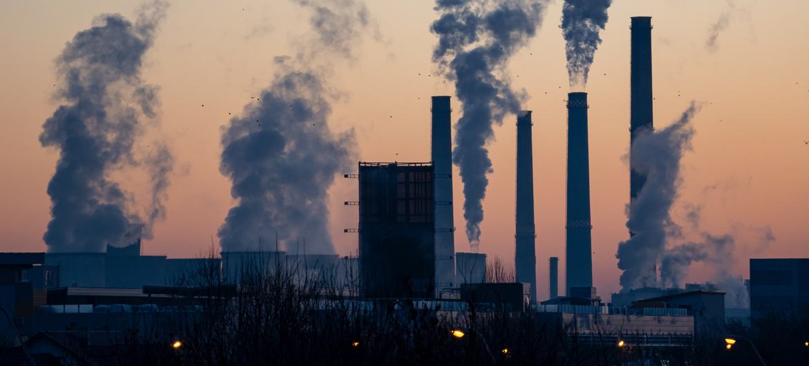 L’impact du climat sur la santé doit être au centre de la COP28, plaide l’OMS