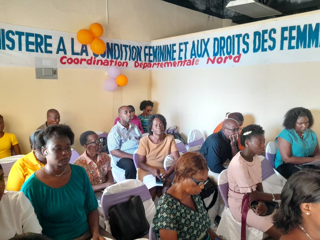 Journée internationale contre la  violence faite aux femmes : des acteurs  sensibilisés à Cap-Haitien