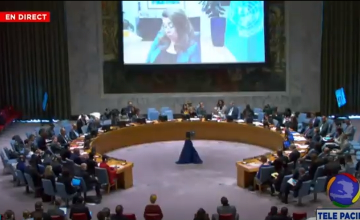 Des pays membres des Nations Unies insistent pour le déploiement de la force multinationale en Haïti
