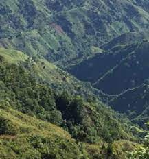 Haïti : face à l'urgence environnementale, plaidoyer pour une mobilisation citoyenne