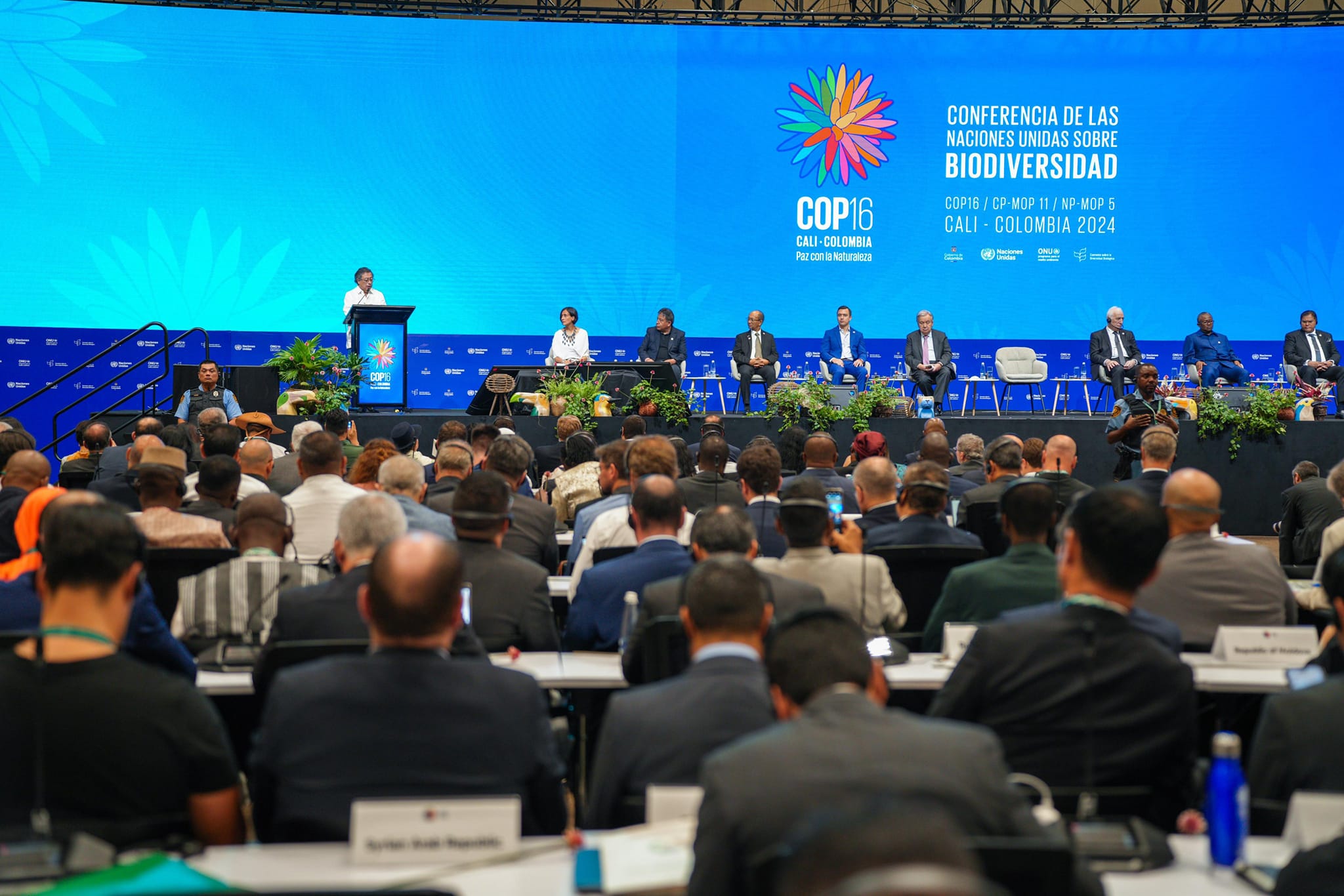 COP16 : le président du CPT,  Leslie Voltaire lance un appel à l’aide pour protéger la biodiversité en Haïti