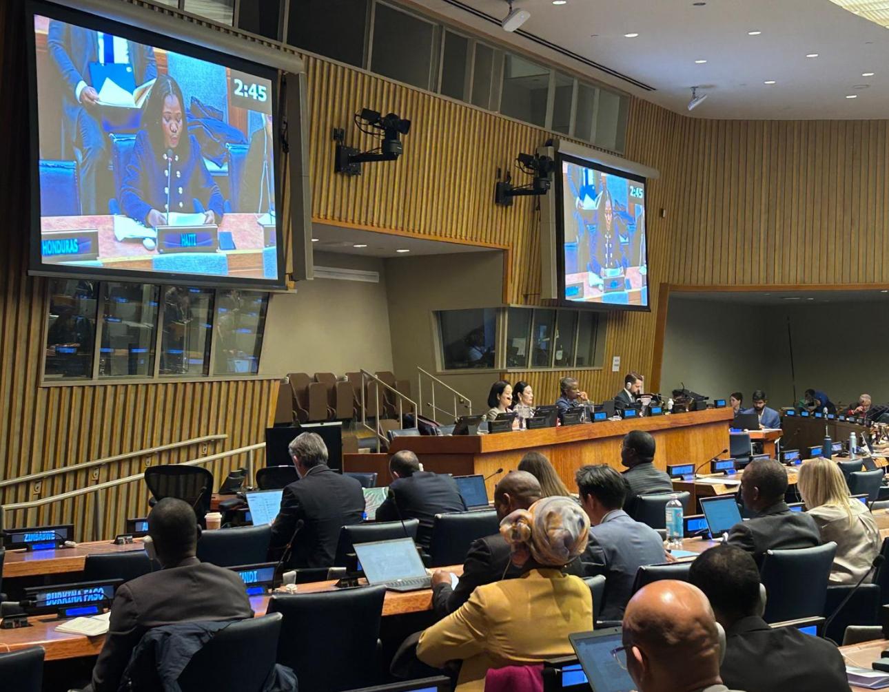 ONU : quand Haïti se positionne sur le désarmement et la sécurité internationale