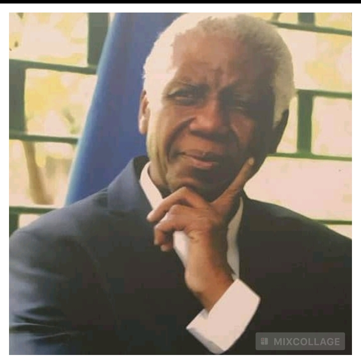 Musée de la diplomatie haïtienne: retour sur le parcours de Henri Robert Sterlin !
