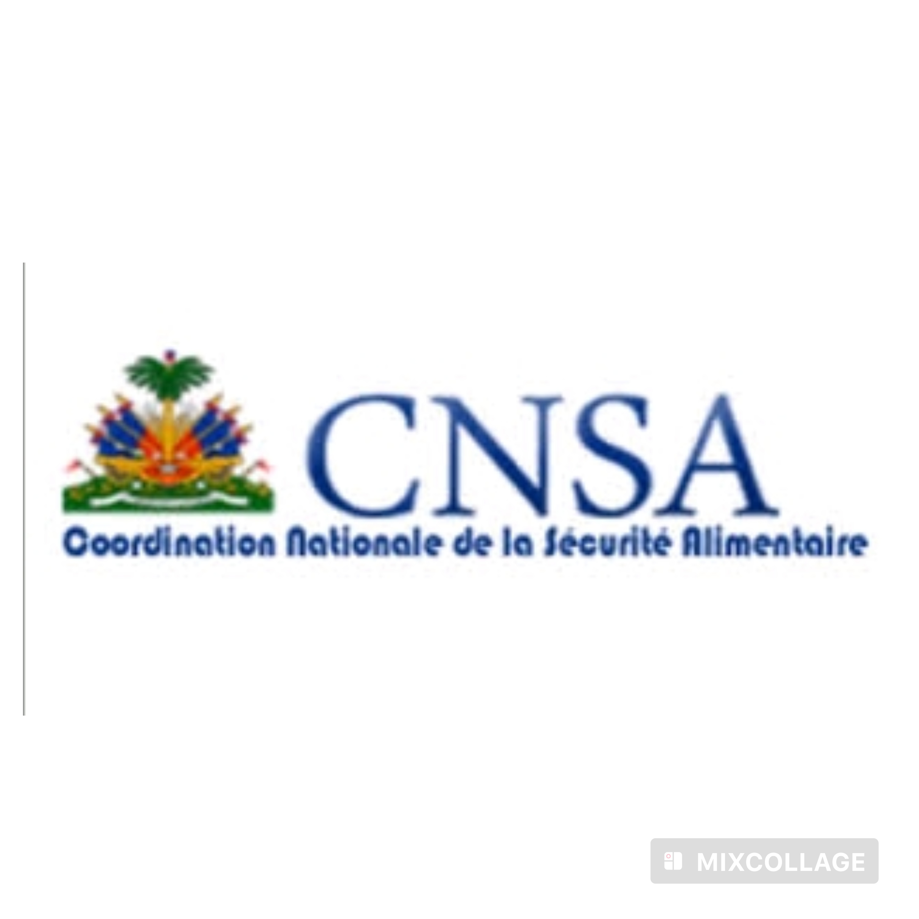 La CNSA et ses partenaires organisent un atelier de suivi sur la situation alimentaire en Haïti