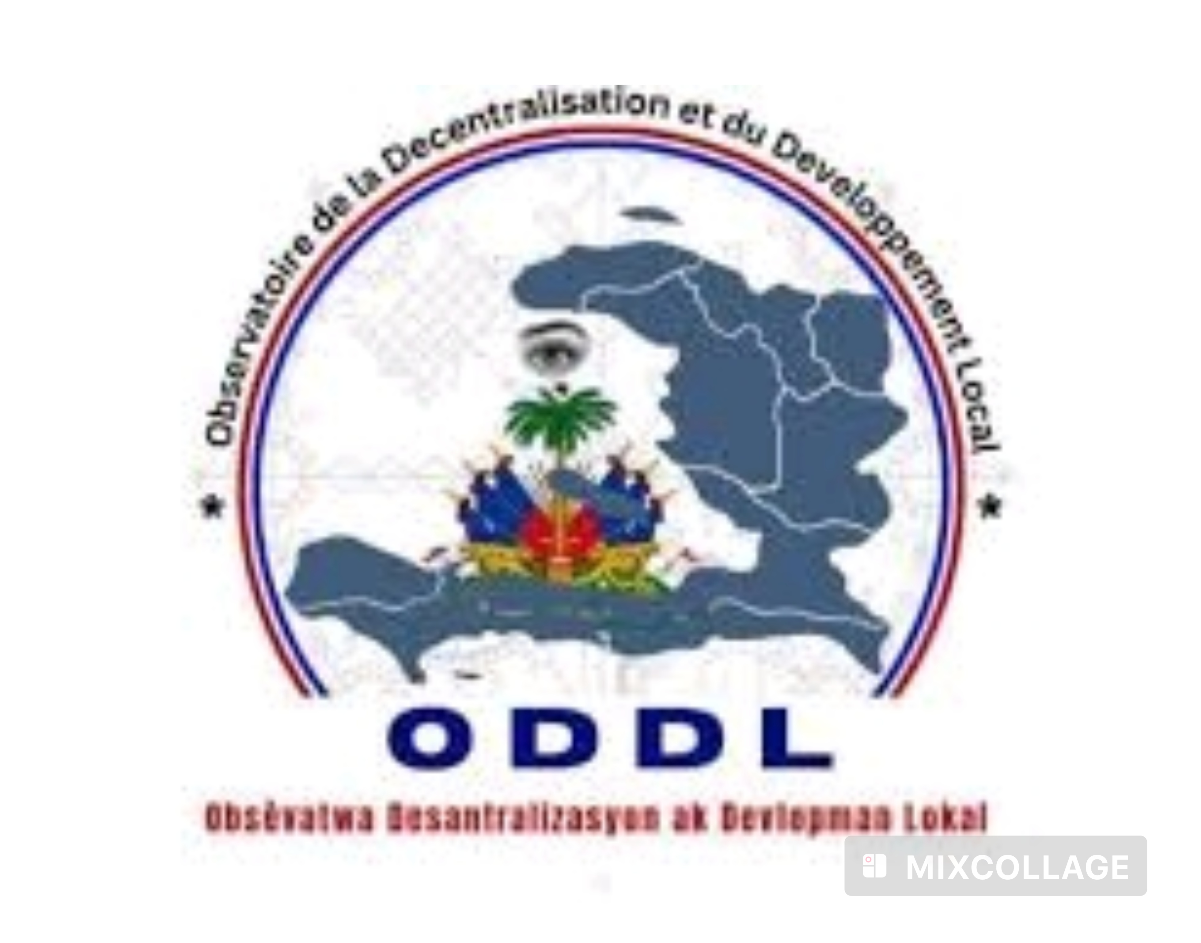 L'ODDL sollicite la correction de l’esquisse du budget rectificatif