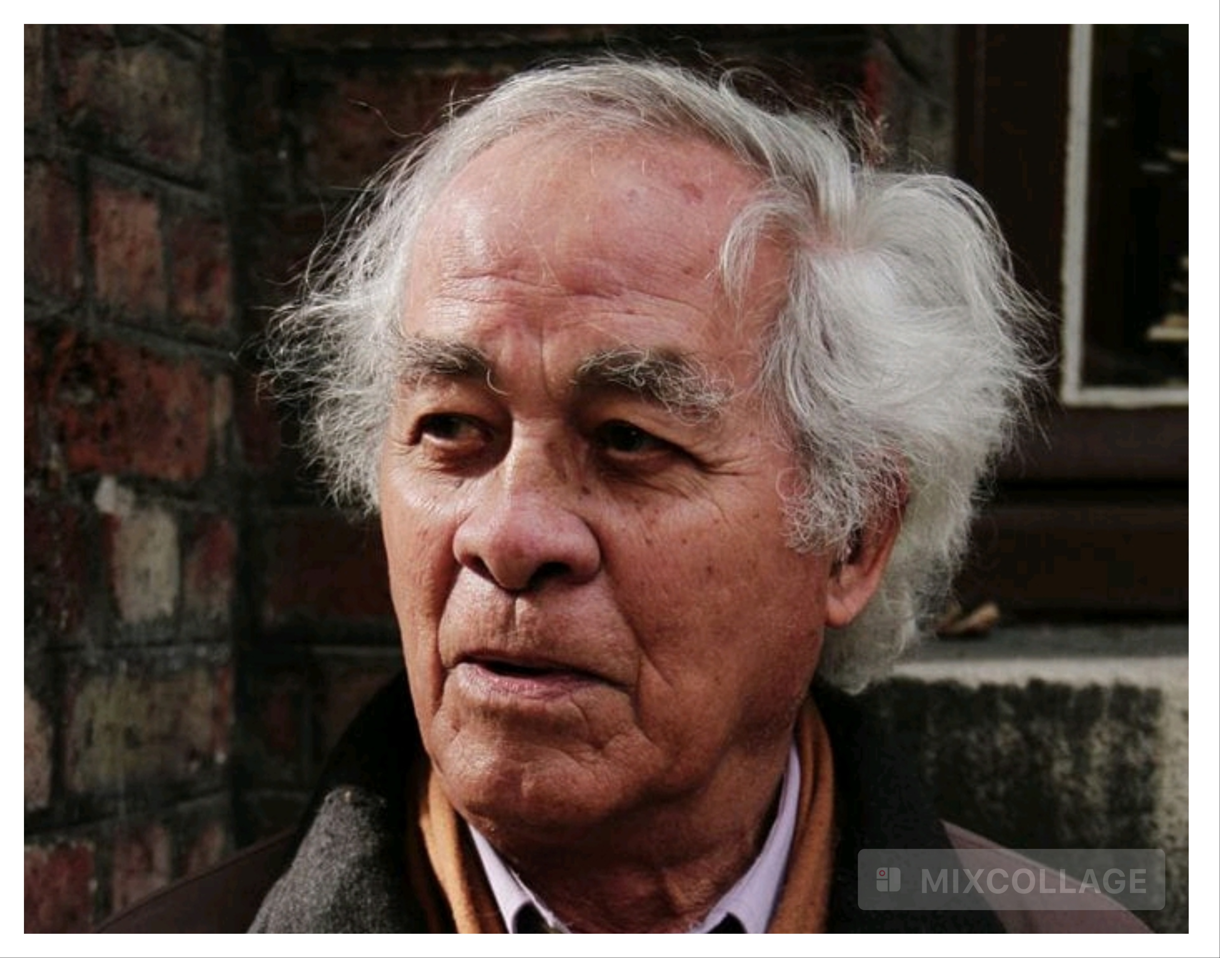 Le poète et romancier haïtien Anthony Phelps est mort