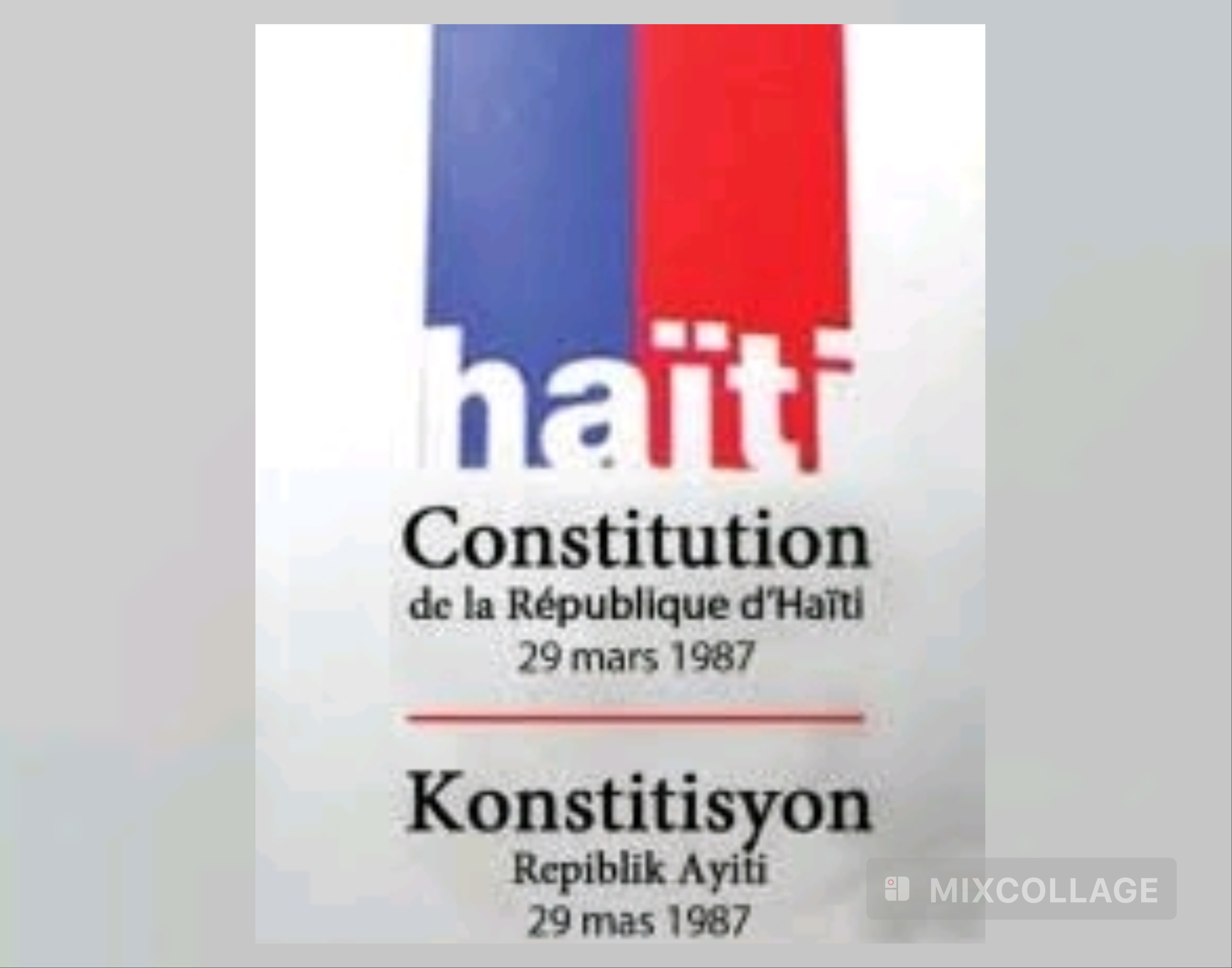 Haïti : 38 ans après, quel avenir pour la Constitution de 1987 ?