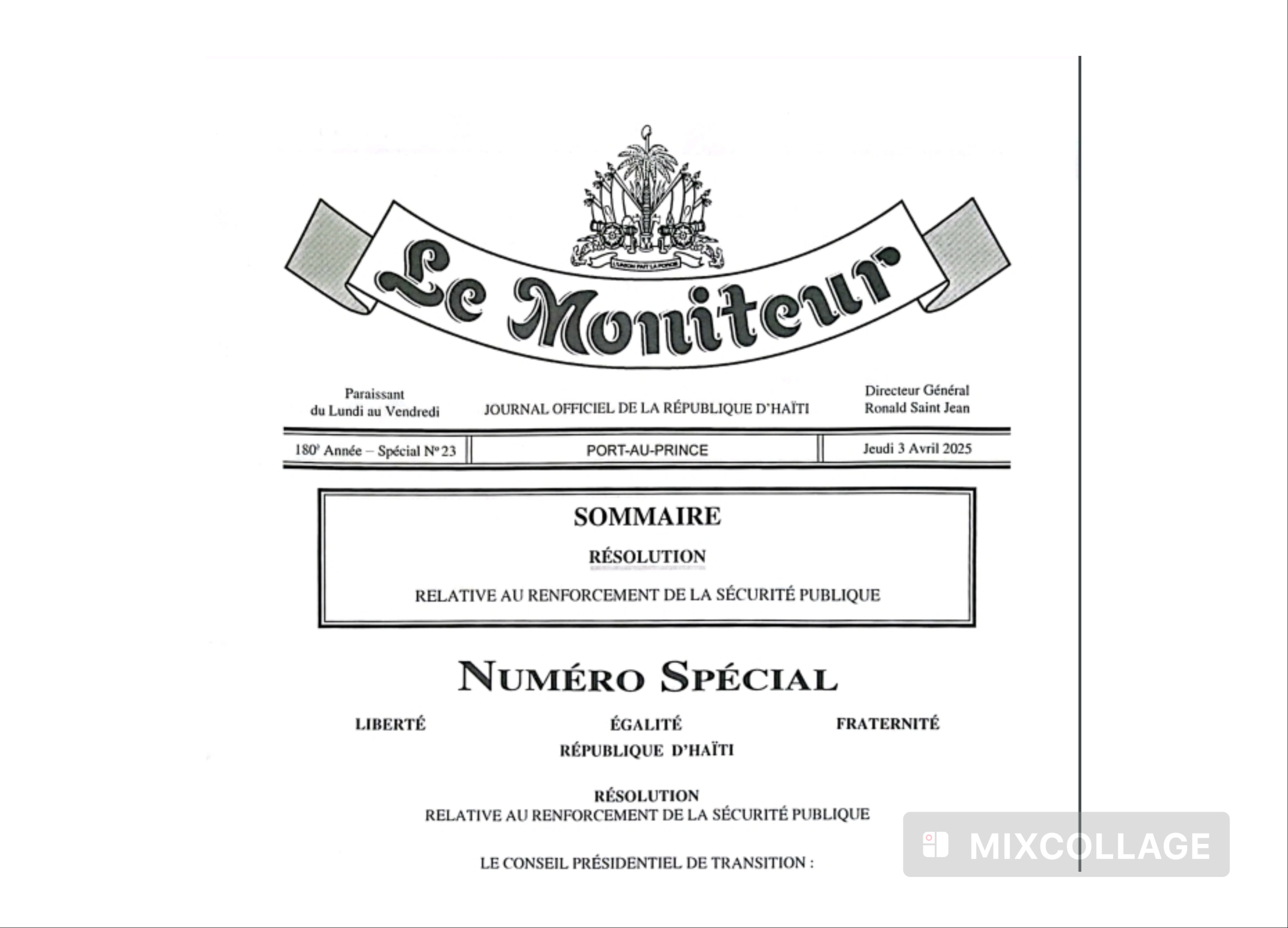 BSAP : Nouvelle carte du pouvoir face à la montée des gangs