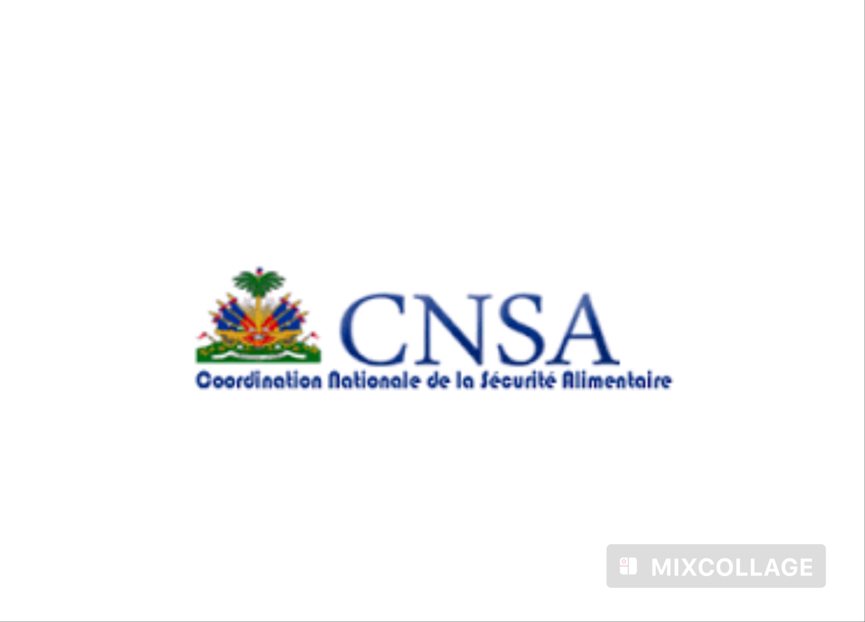 Sécurité alimentaire : la CNSA plaide pour un pont entre urgence humanitaire et développement durable
