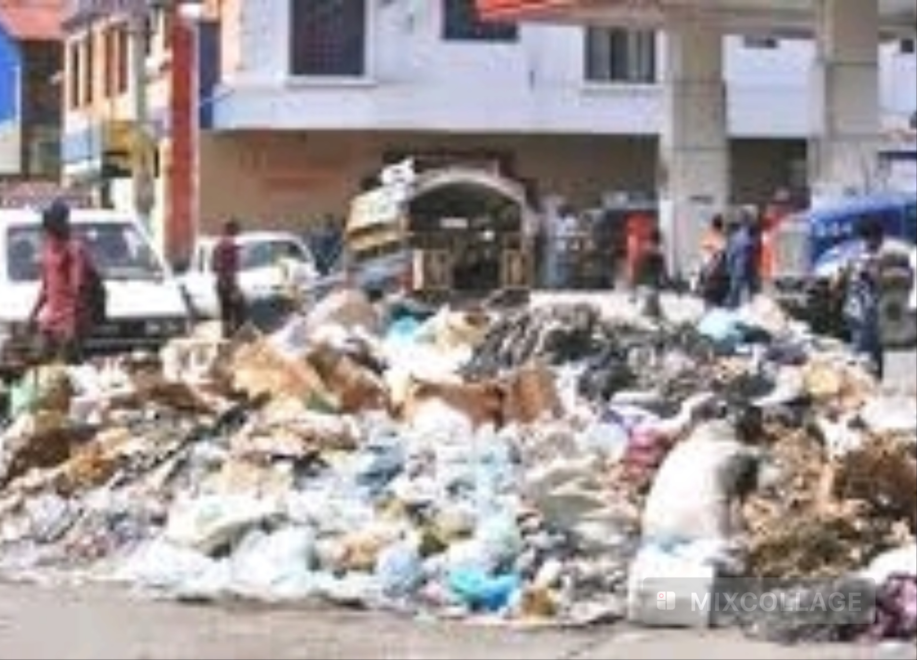 Insalubrité : La commune de Pétion-Ville dépassée
