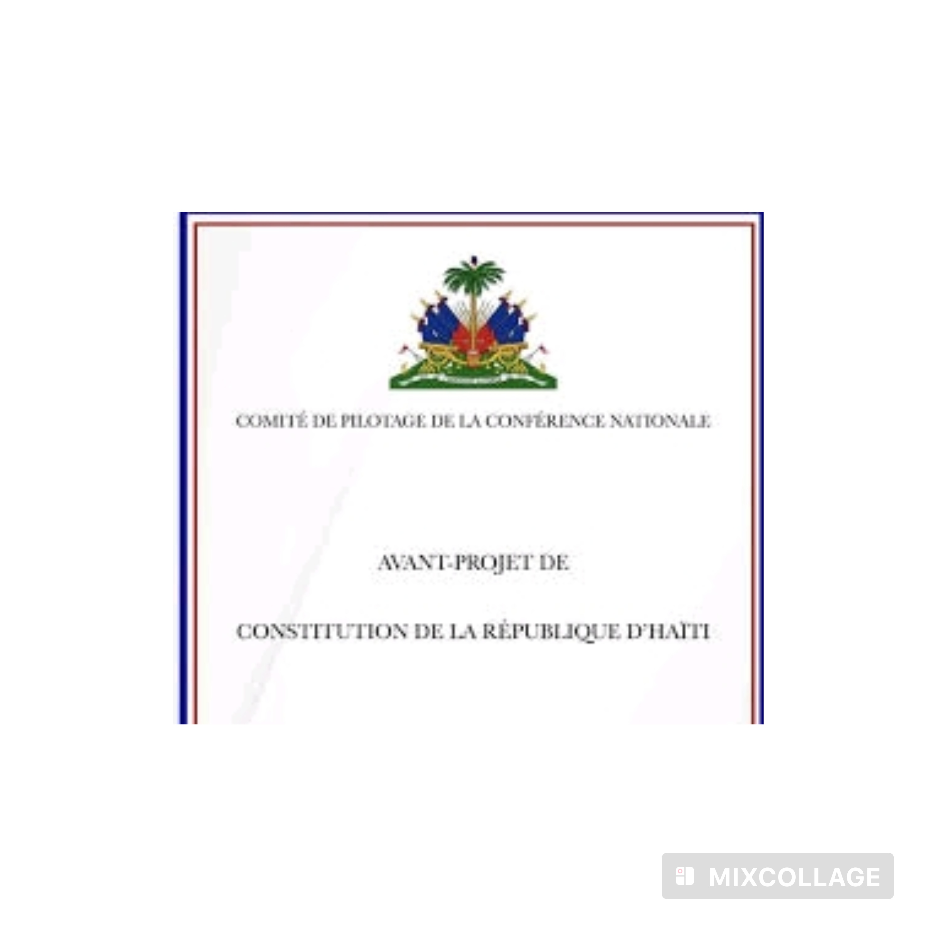 Constitution : Me Mortimé alerte sur un projet sans légitimité