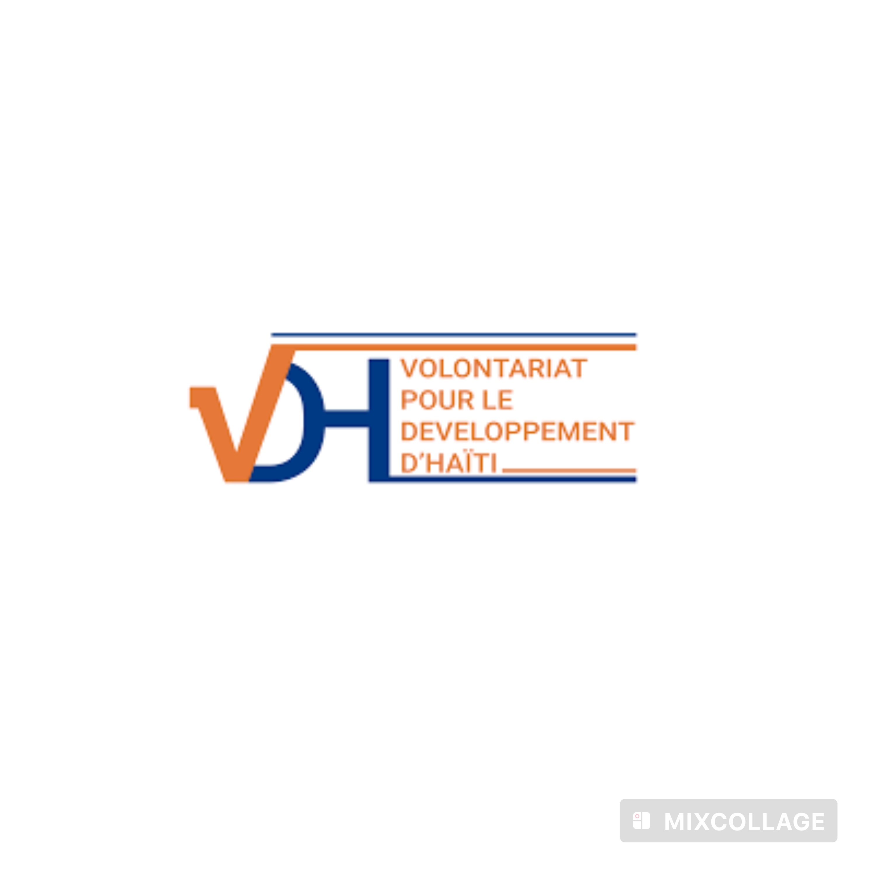 Le VDH mobilise la jeunesse autour de l’avant-projet constitutionnel