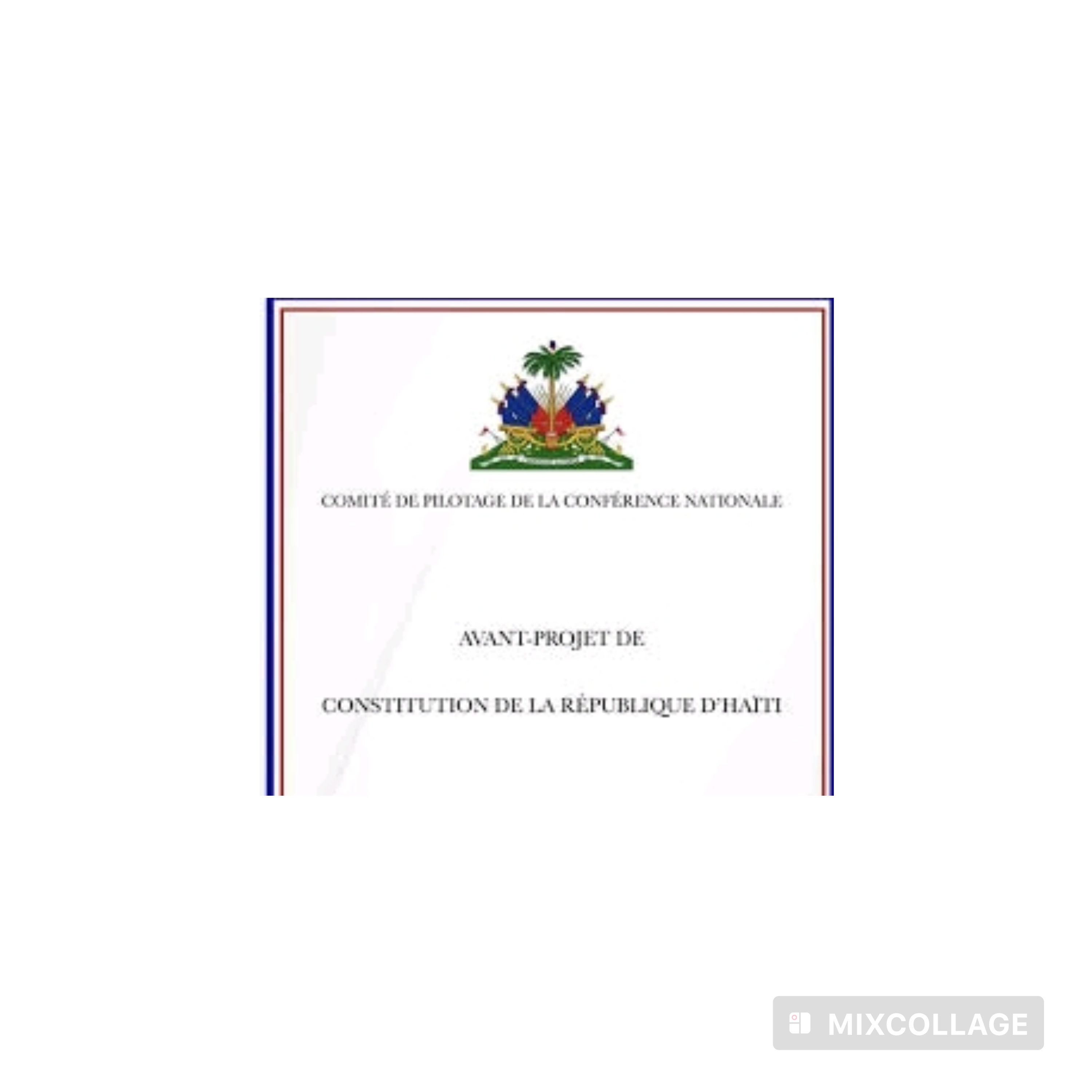 Nouvelle Constitution : transparence administrative, relance économique et fin des monopoles
