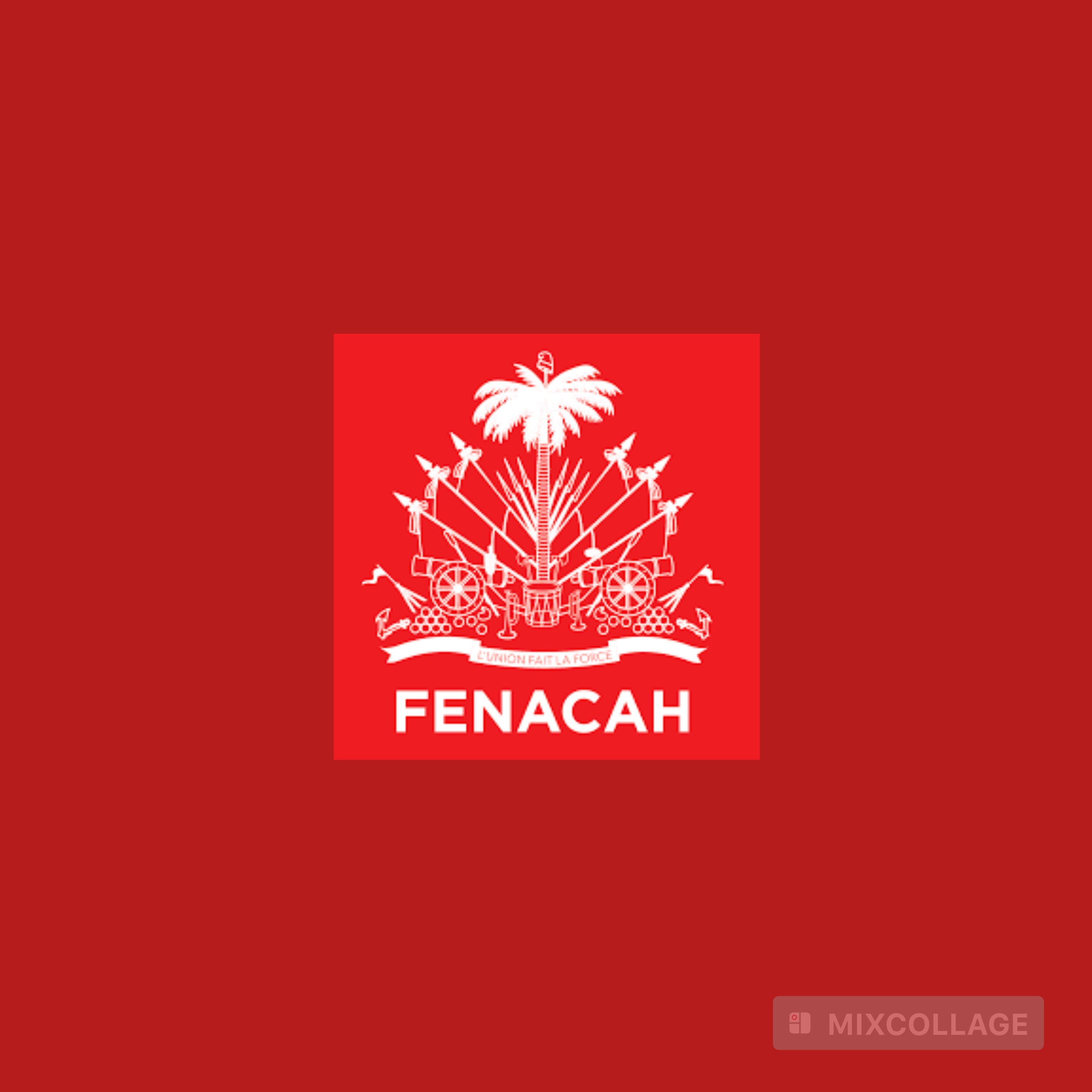 Nouvelle Constitution : FENACAH salue la proposition de transformer les sections communales en communes